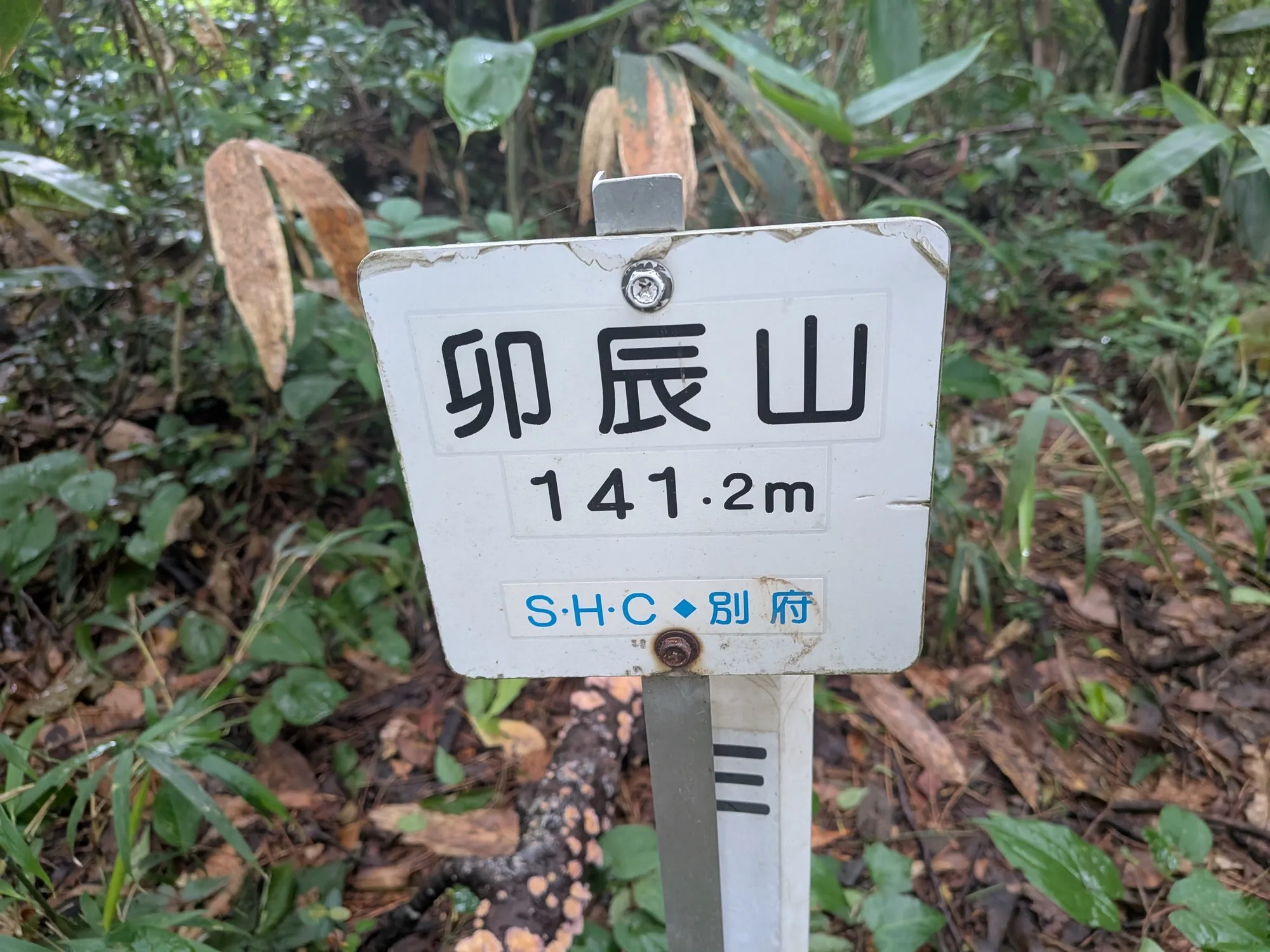 たむら鍼灸整骨院のイメージ