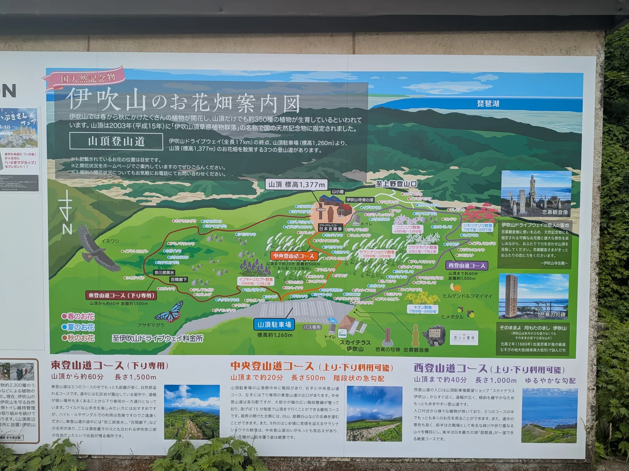 たむら鍼灸整骨院のイメージ