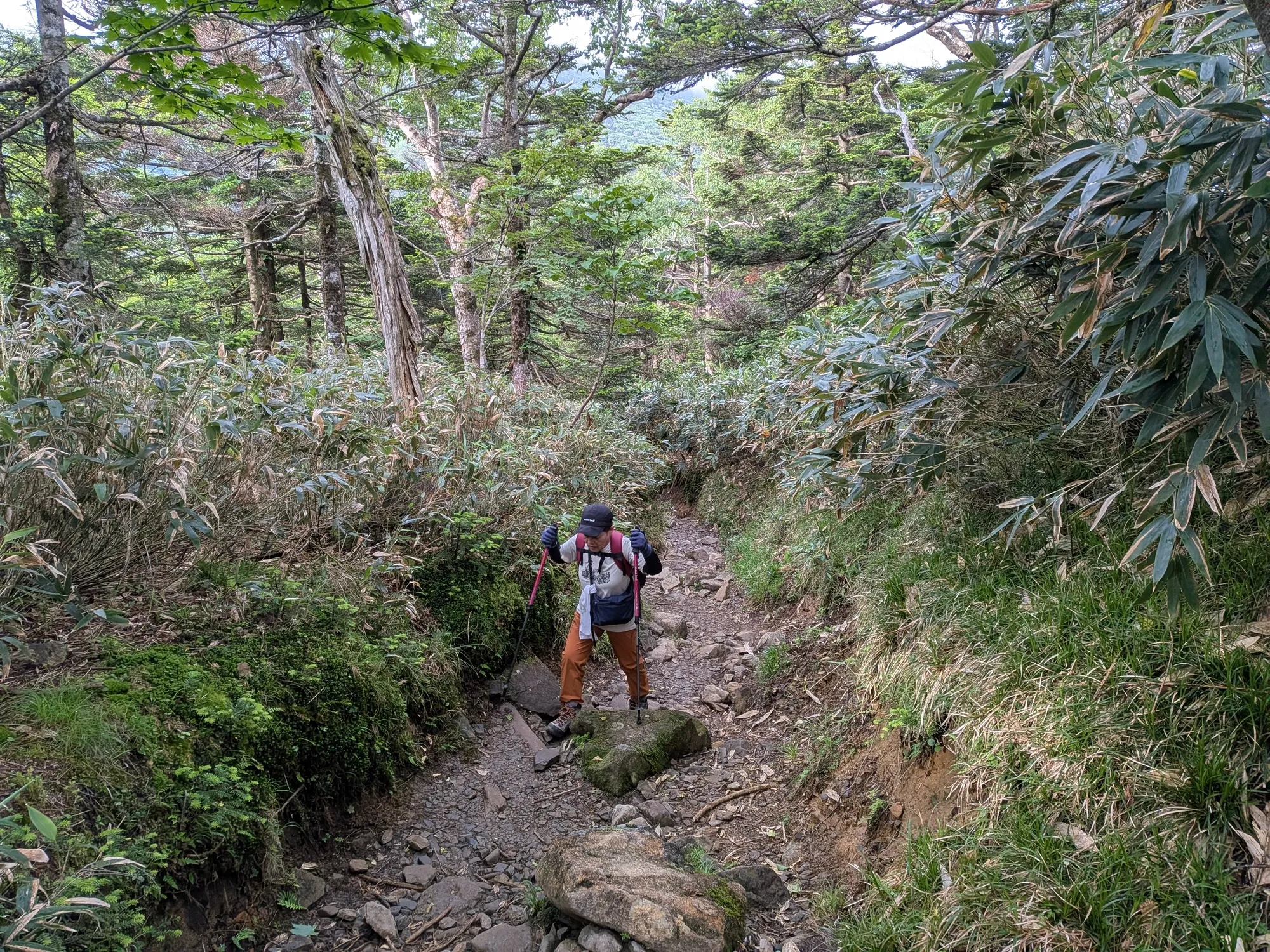 たむら鍼灸整骨院のイメージ