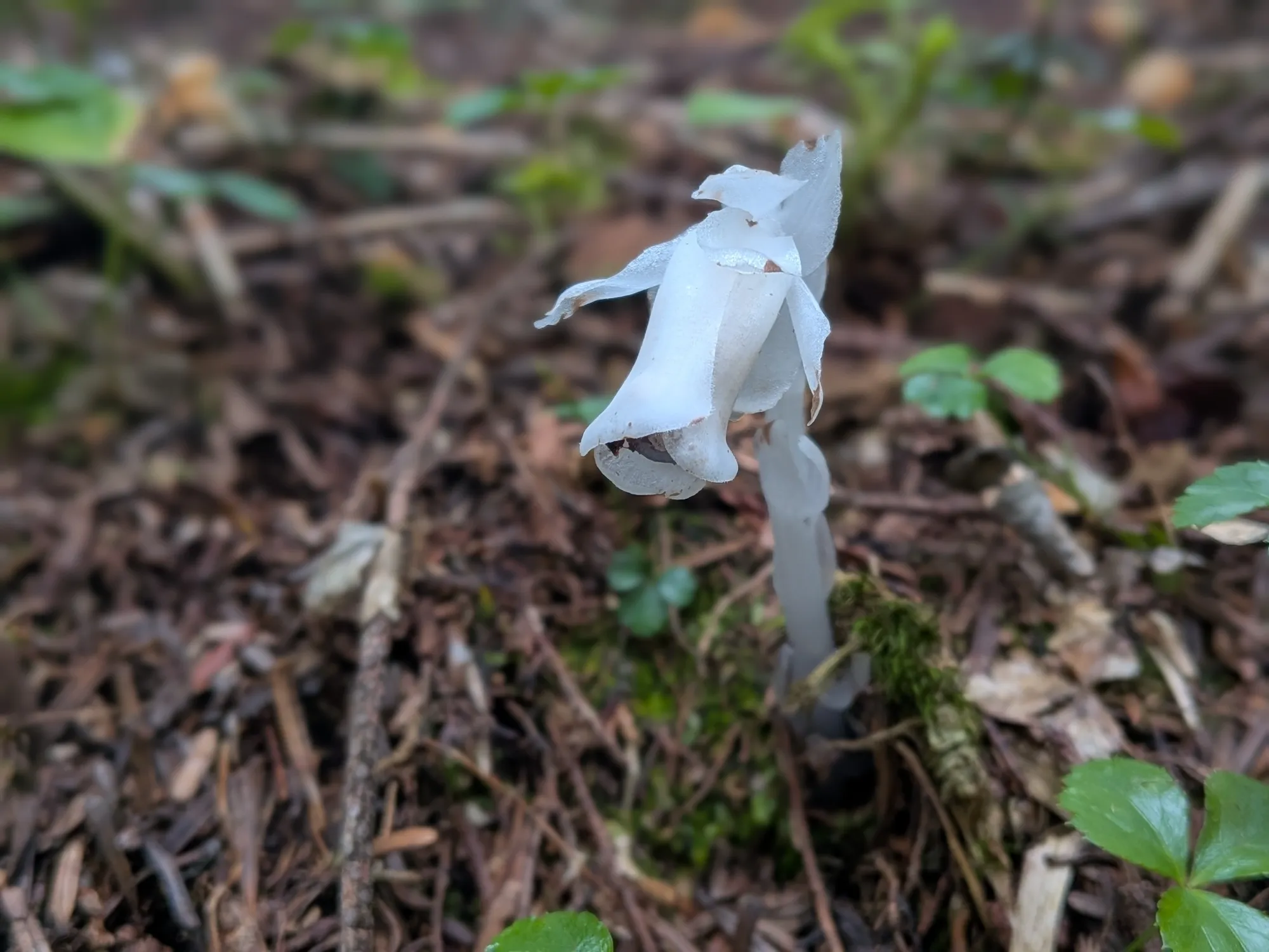 たむら鍼灸整骨院のイメージ
