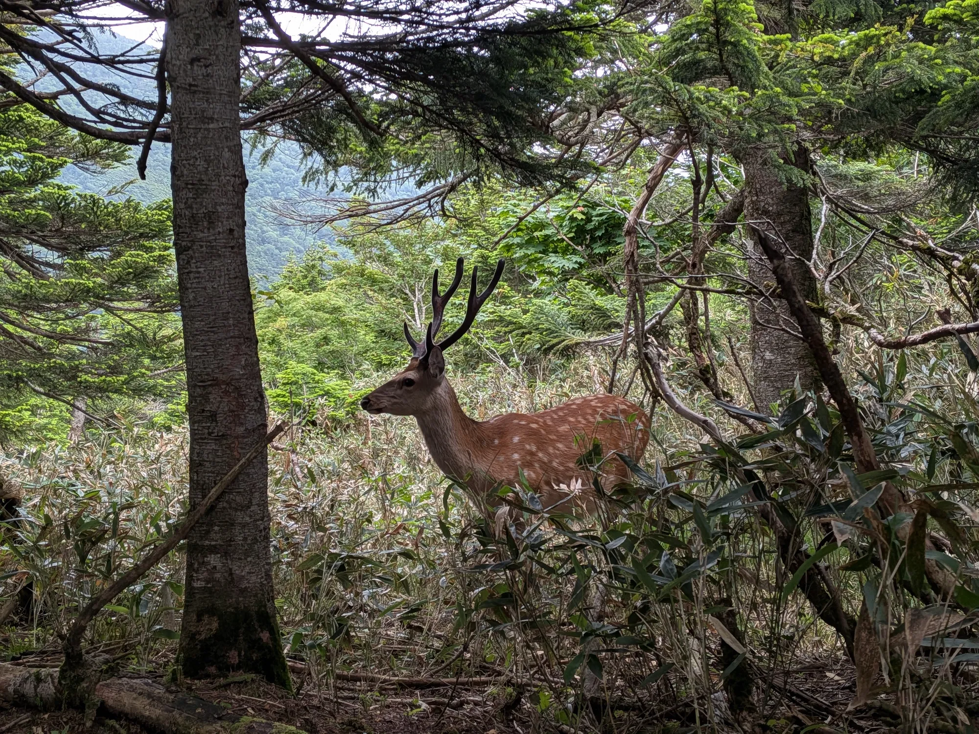 たむら鍼灸整骨院のイメージ