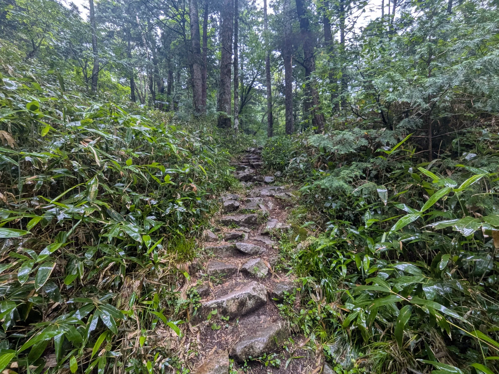 たむら鍼灸整骨院のイメージ