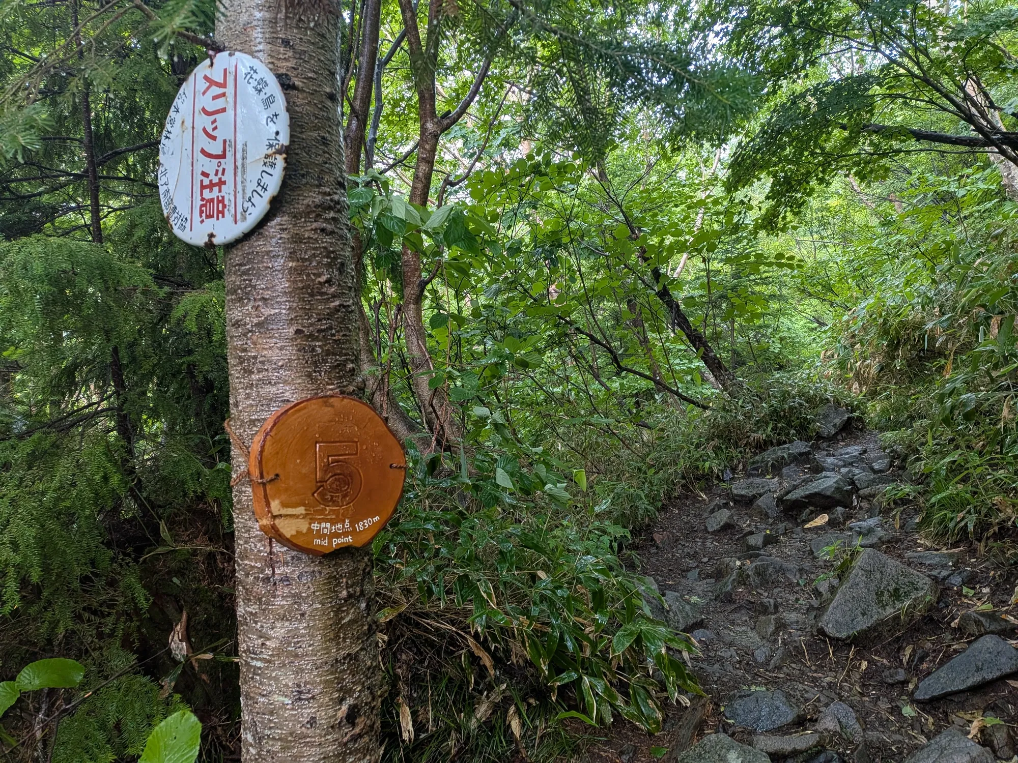 たむら鍼灸整骨院のイメージ