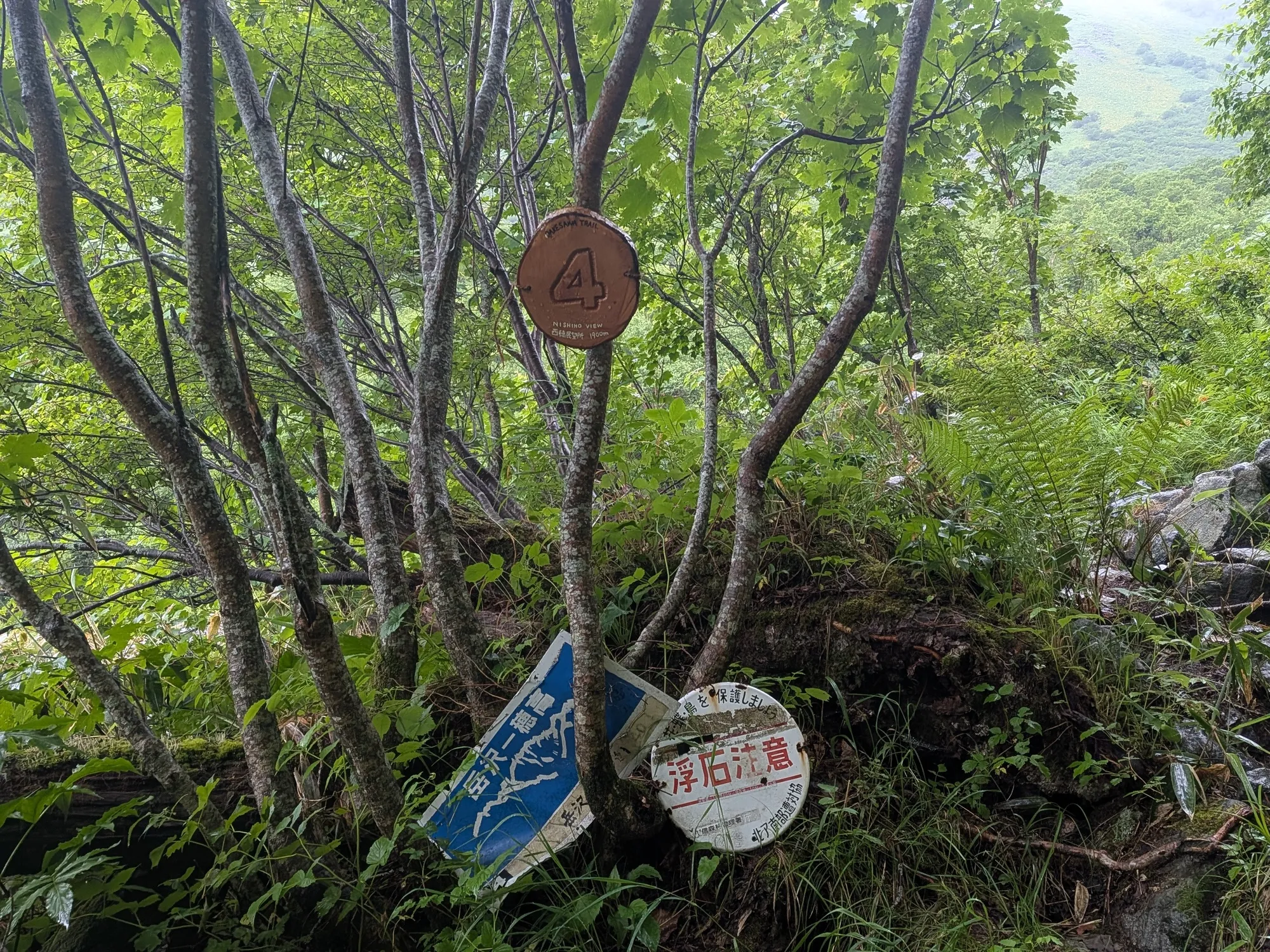 たむら鍼灸整骨院のイメージ