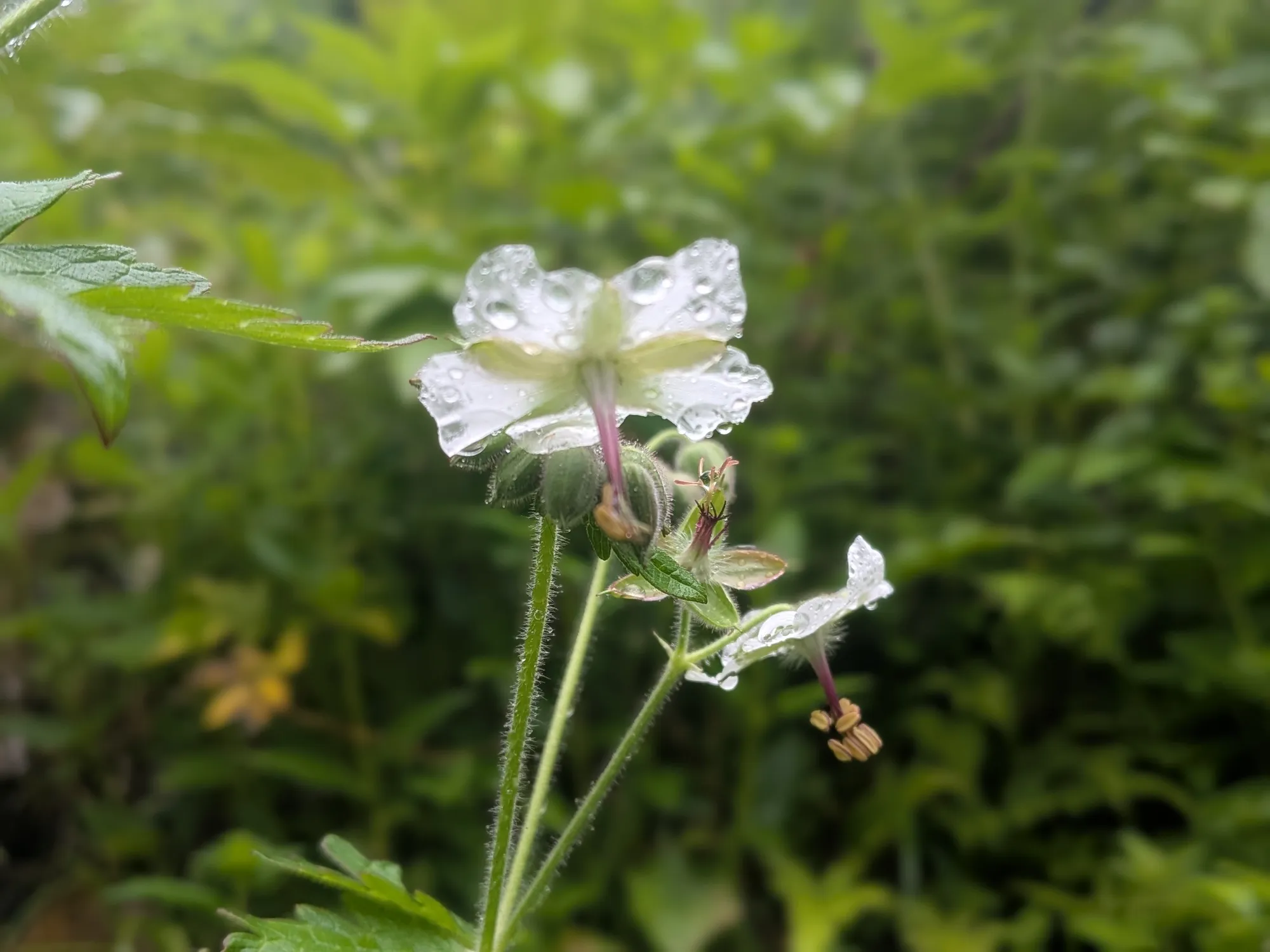 たむら鍼灸整骨院のイメージ