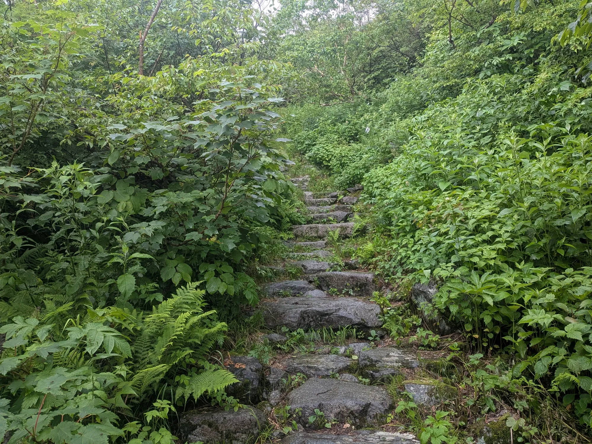 たむら鍼灸整骨院のイメージ
