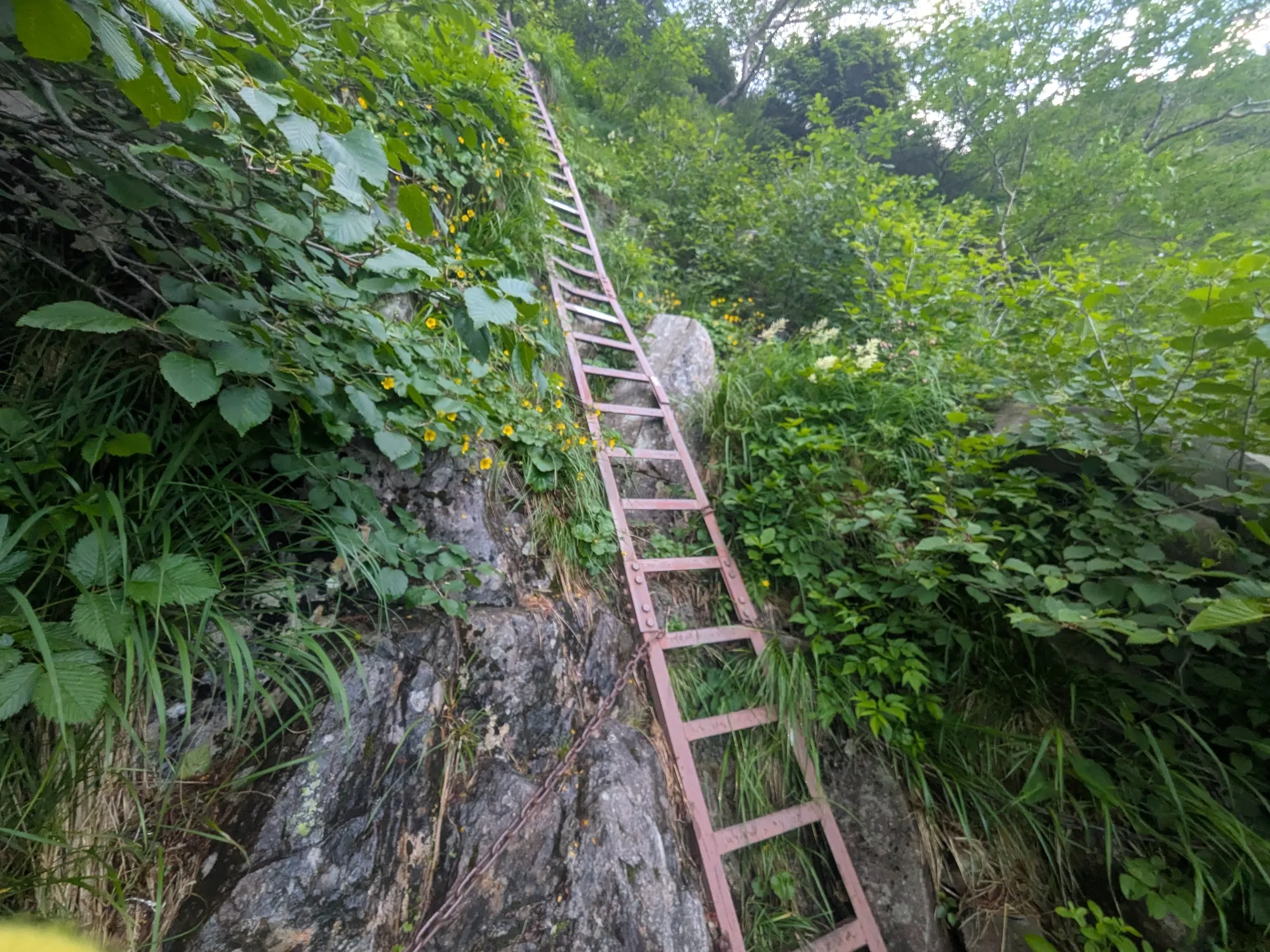 たむら鍼灸整骨院のイメージ