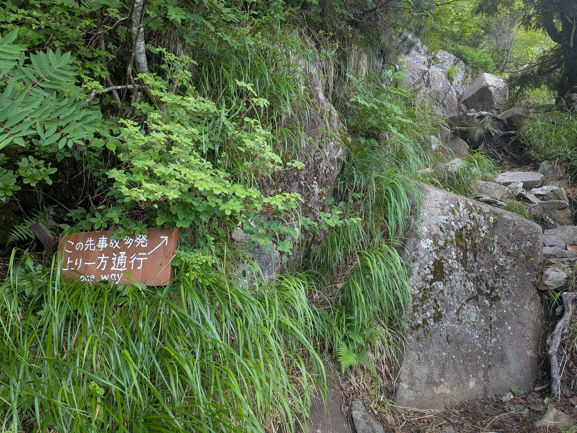 たむら鍼灸整骨院のイメージ