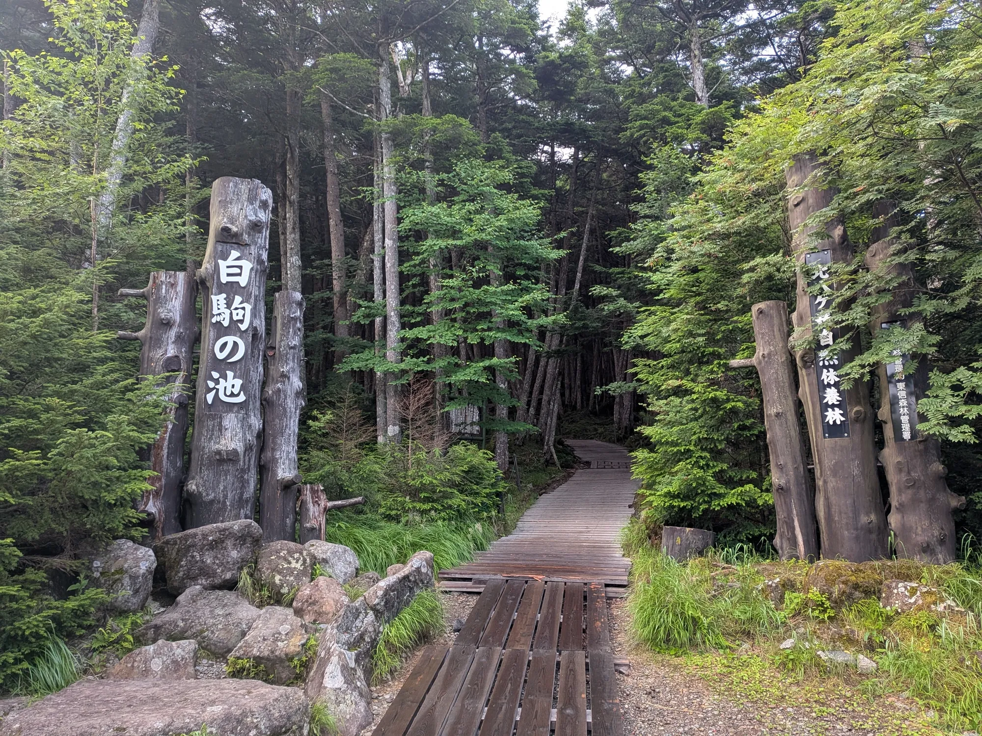 たむら鍼灸整骨院のイメージ