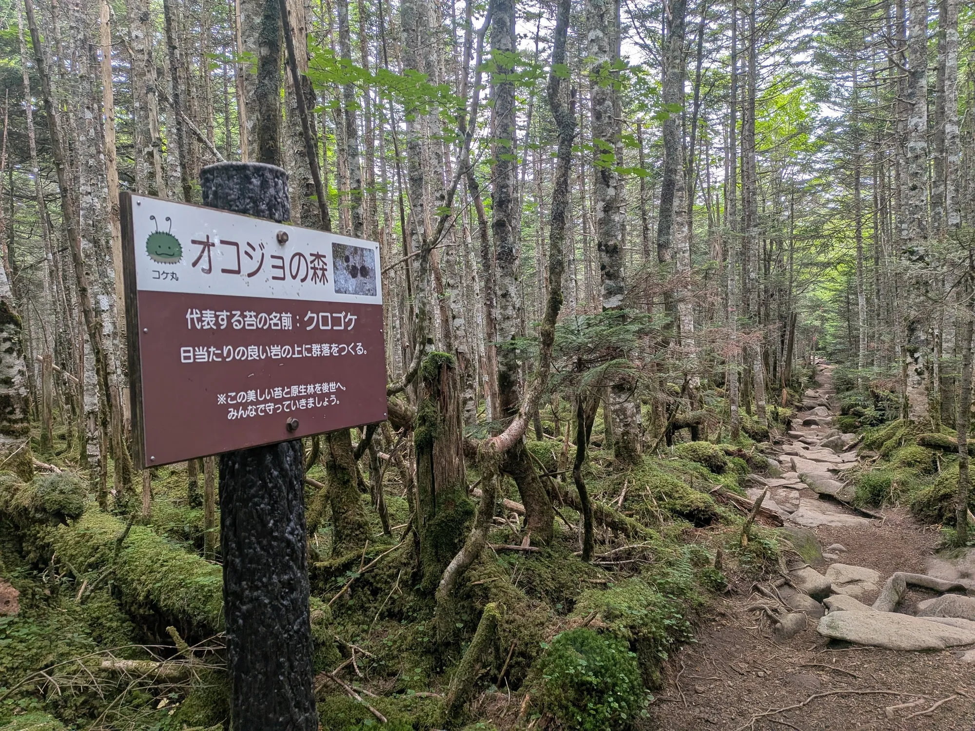 たむら鍼灸整骨院のイメージ