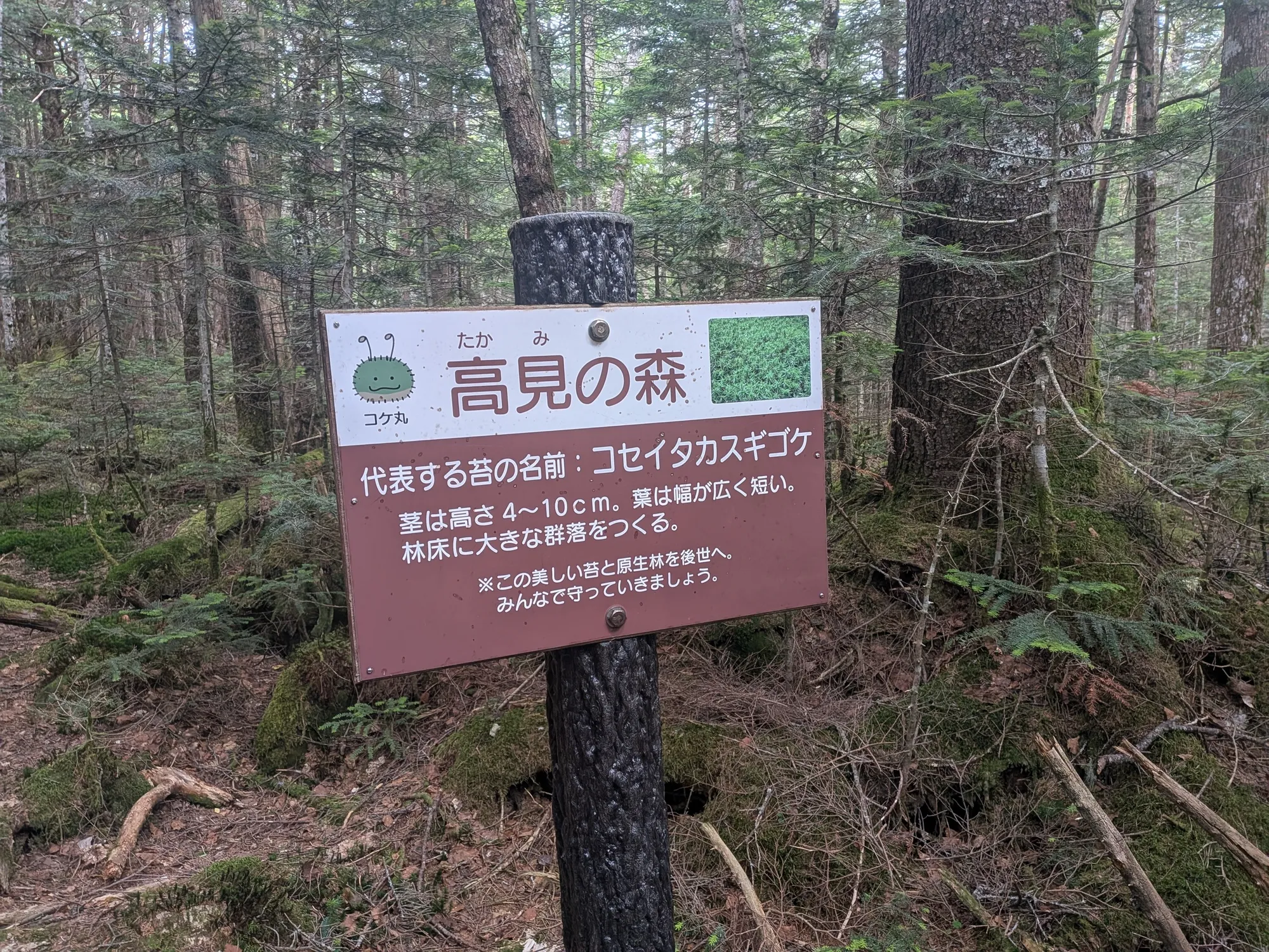 たむら鍼灸整骨院のイメージ