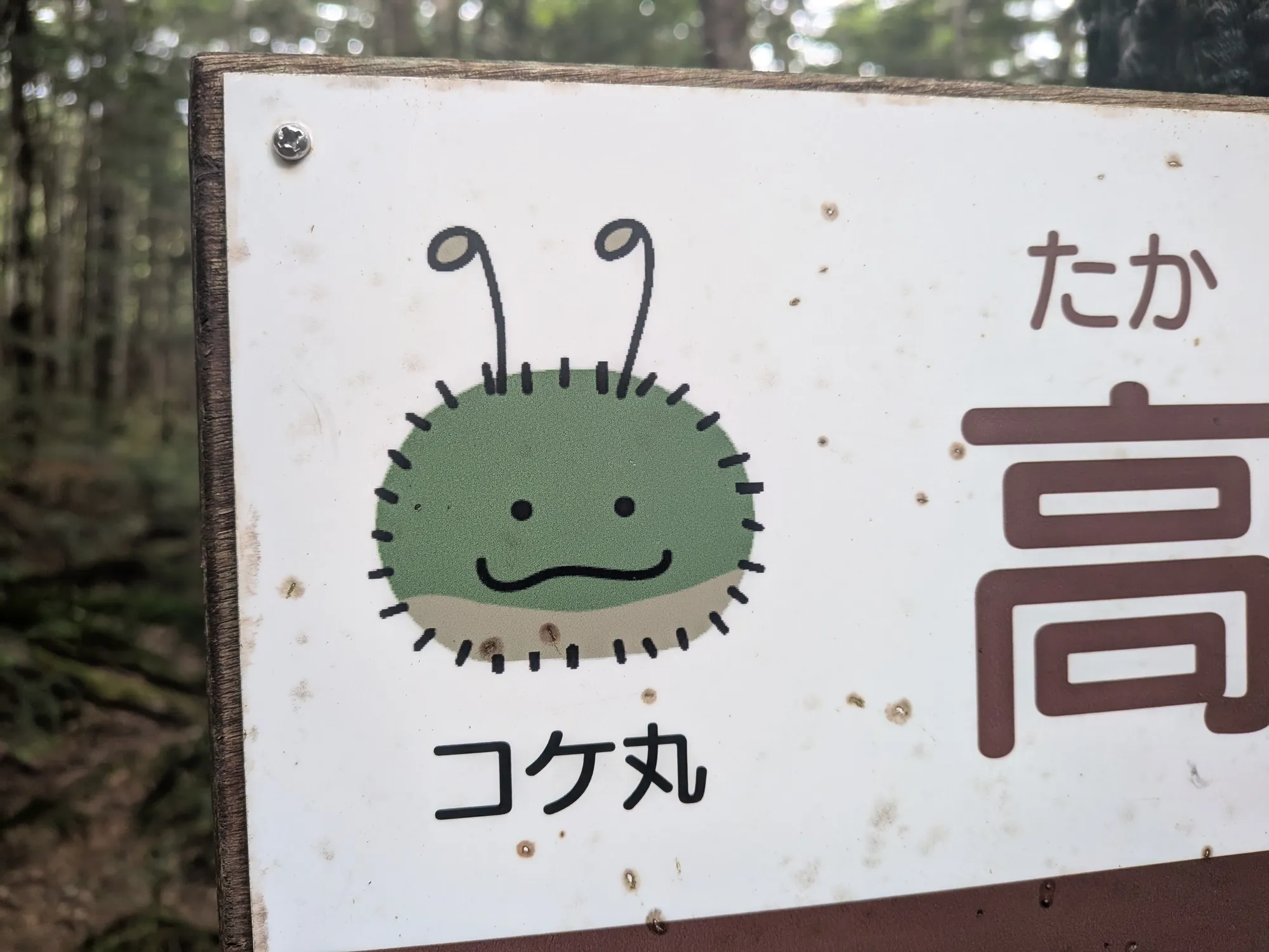 たむら鍼灸整骨院のイメージ