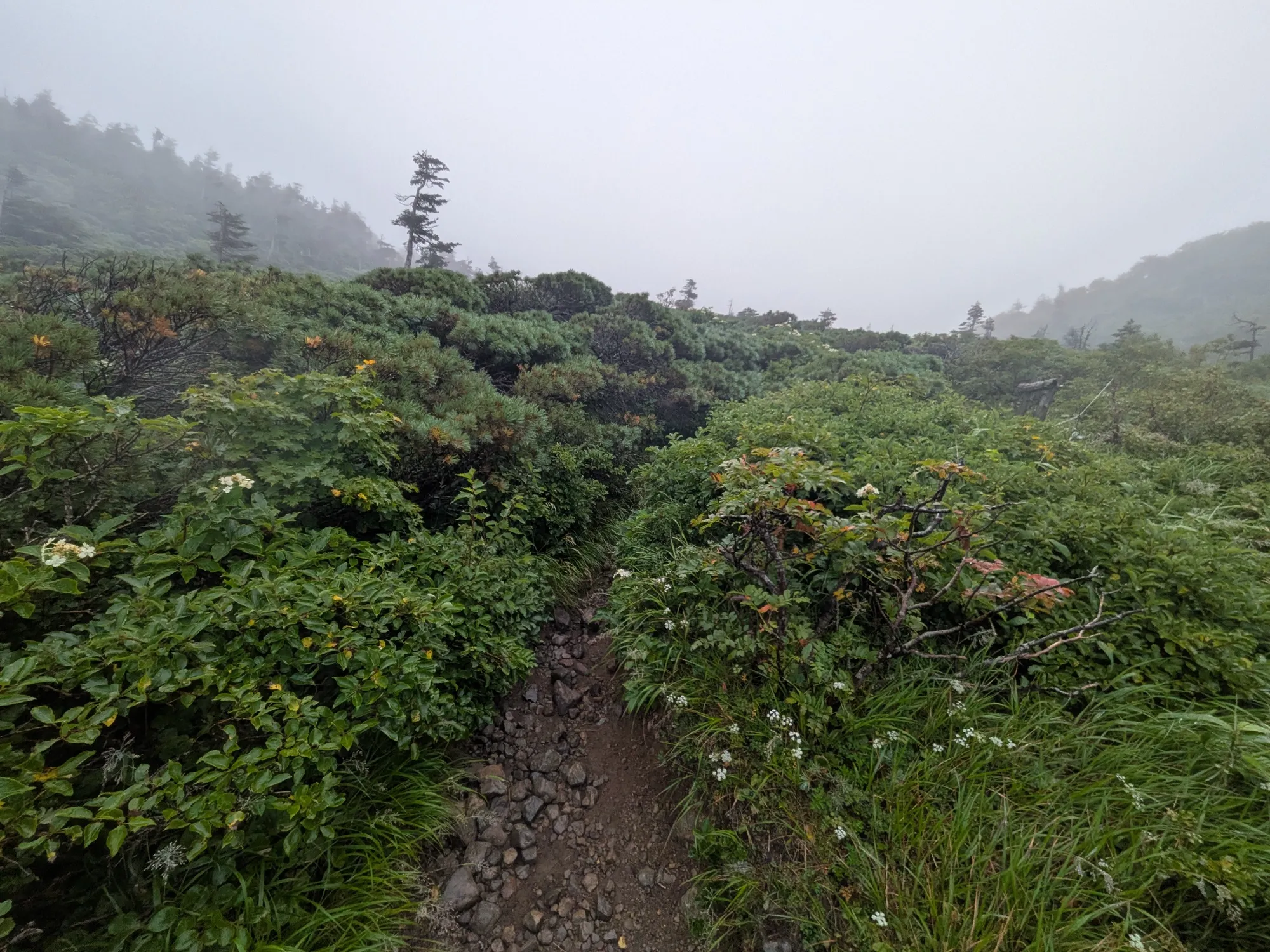 たむら鍼灸整骨院のイメージ