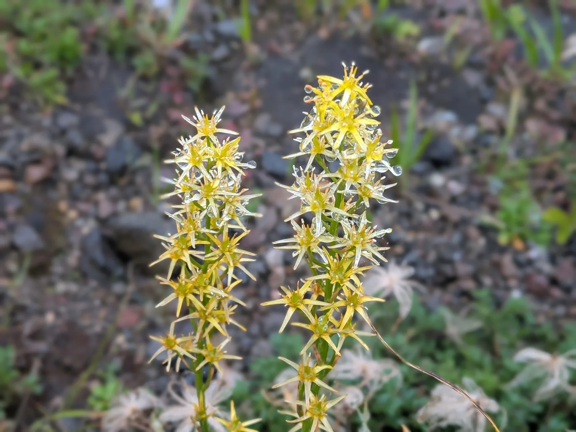 たむら鍼灸整骨院のイメージ