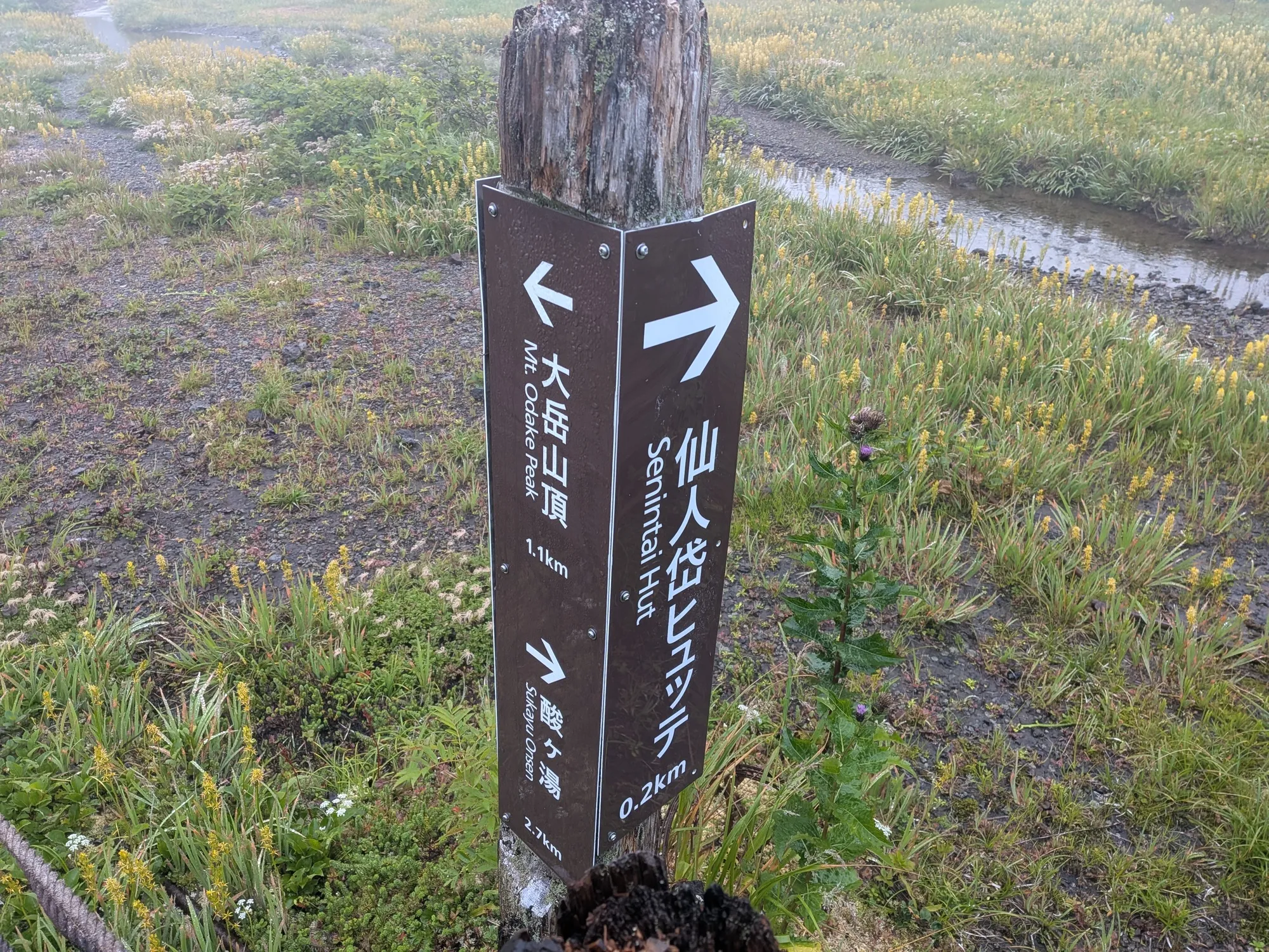 たむら鍼灸整骨院のイメージ