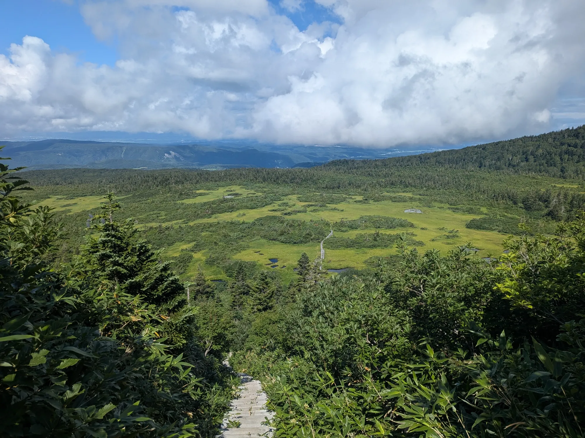 下毛無岱