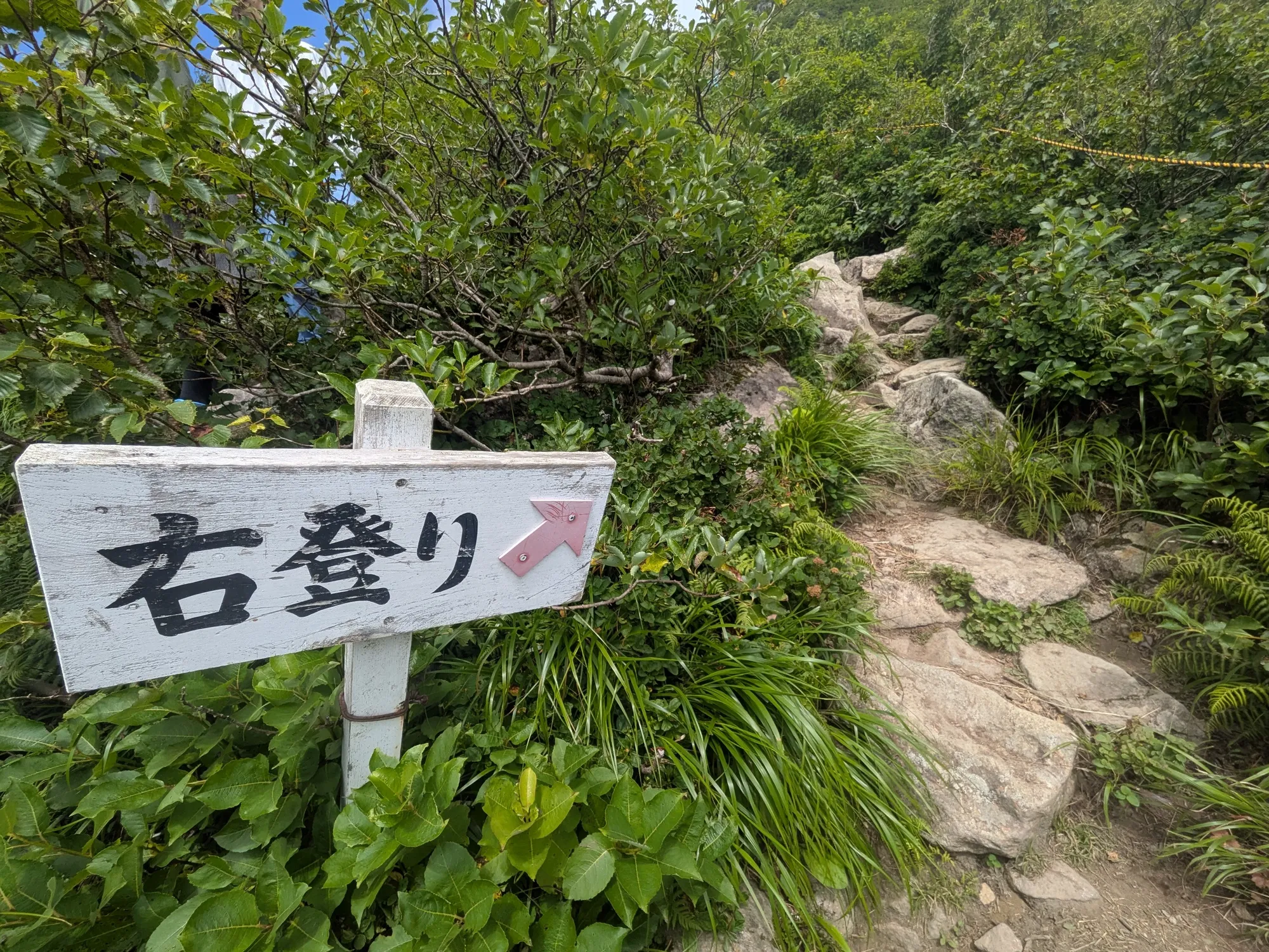 たむら鍼灸整骨院のイメージ