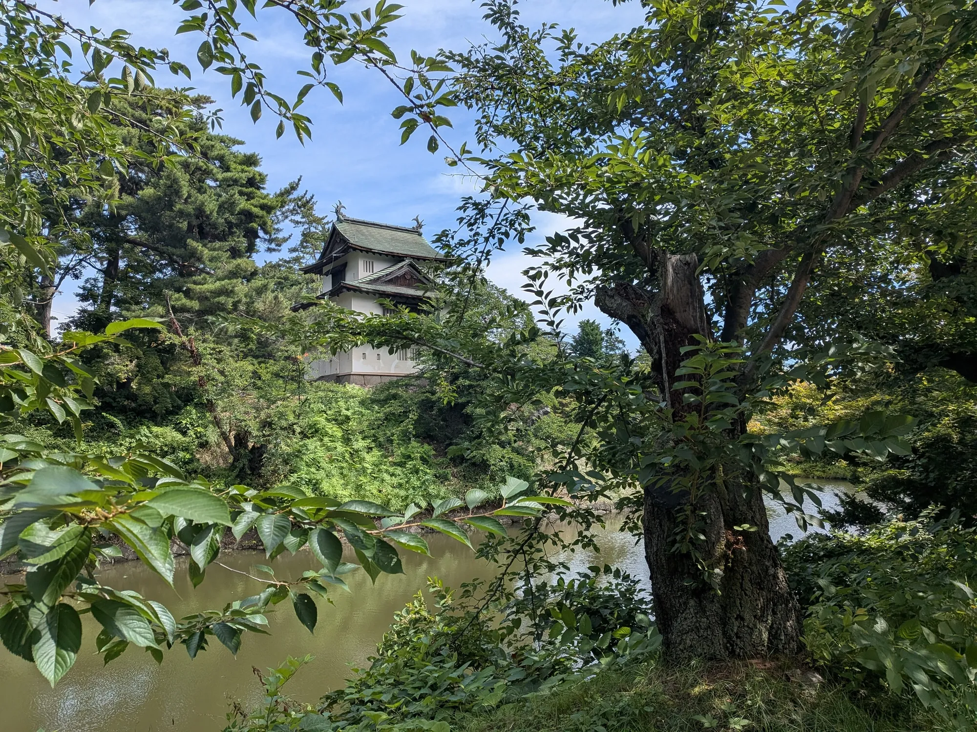 たむら鍼灸整骨院のイメージ