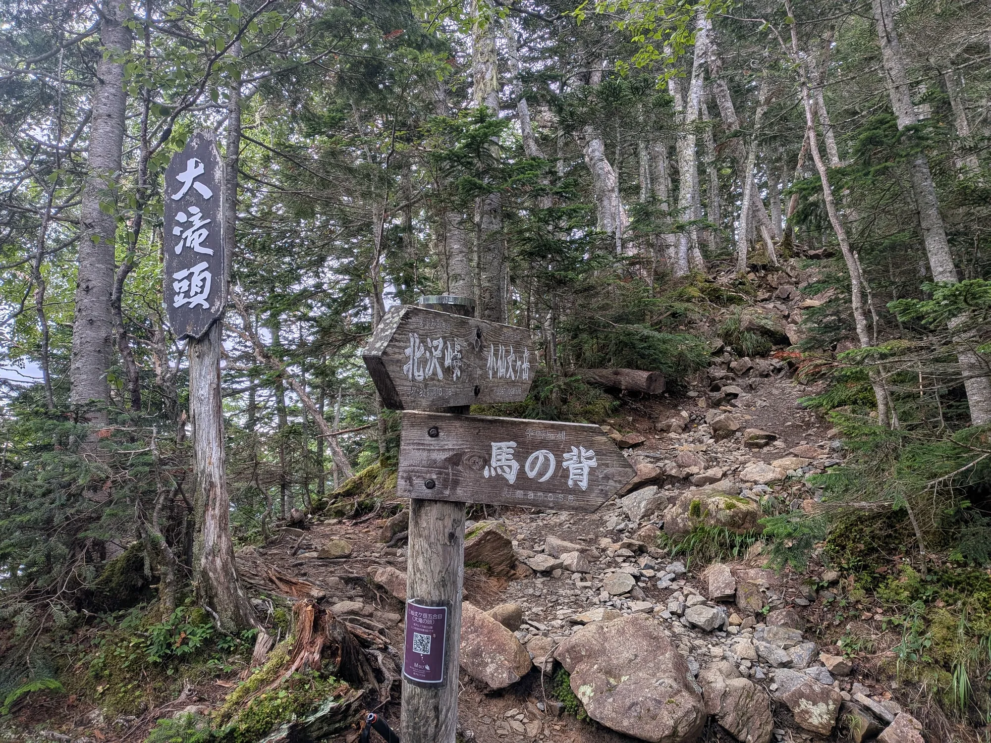 たむら鍼灸整骨院のイメージ