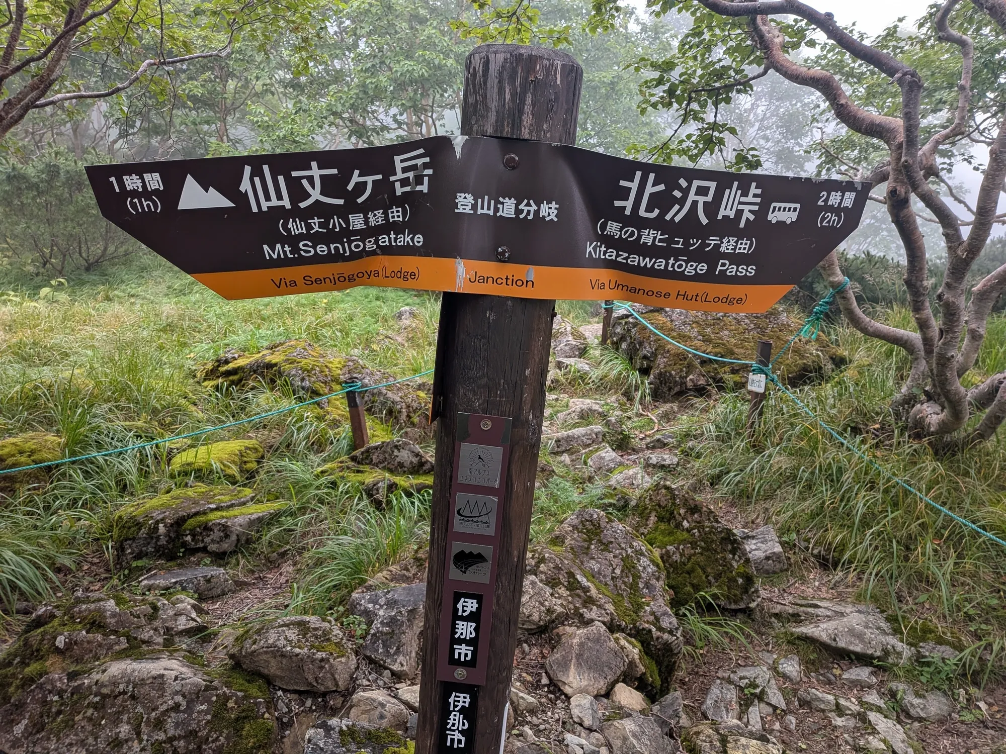 たむら鍼灸整骨院のイメージ