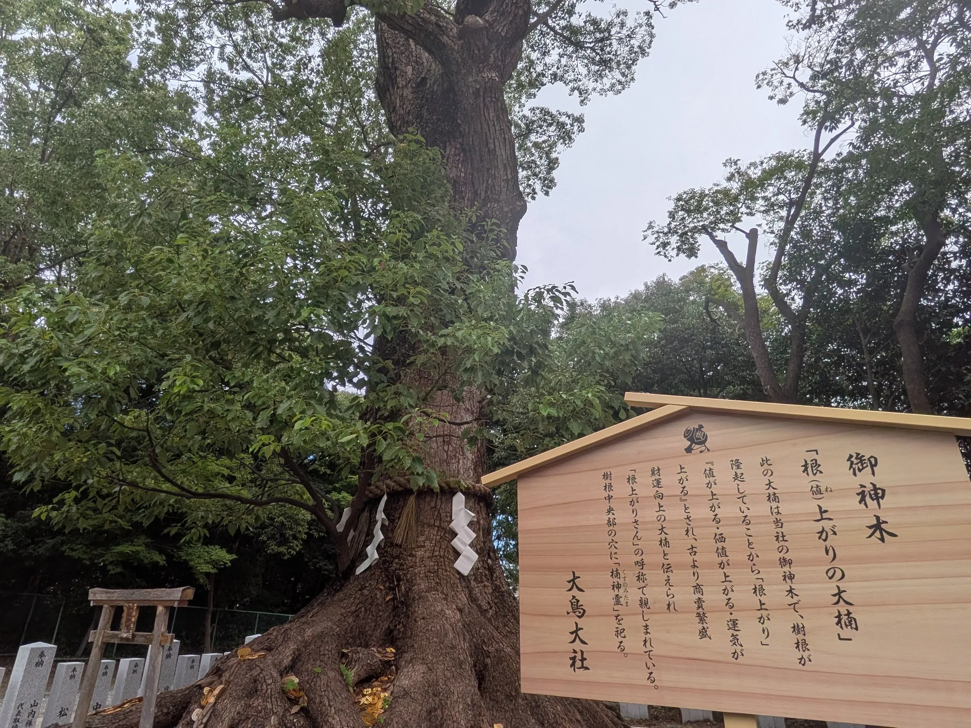 たむら鍼灸整骨院のイメージ