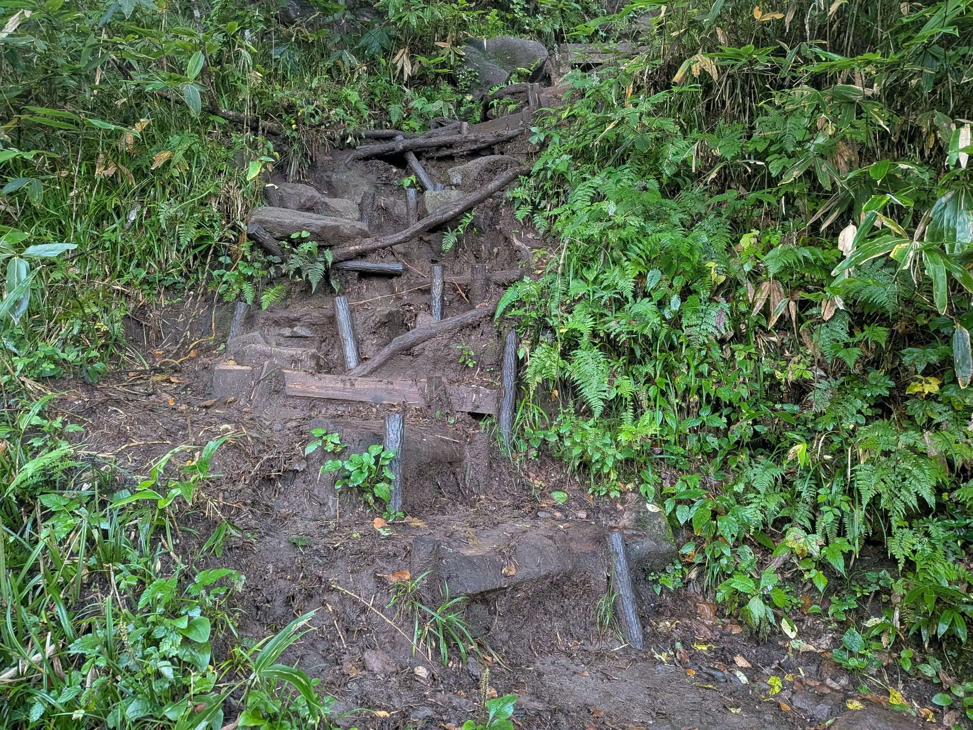 たむら鍼灸整骨院のイメージ
