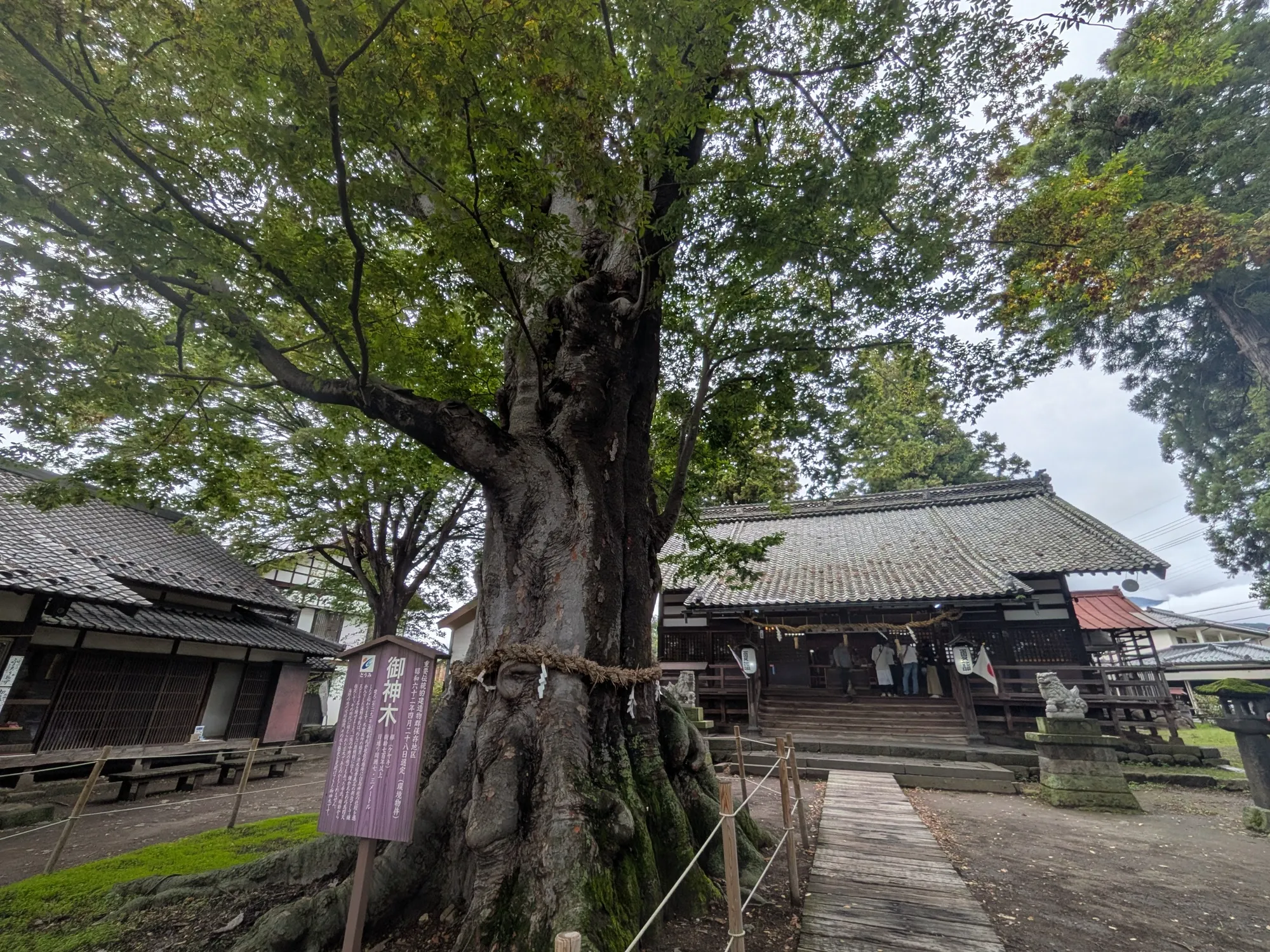 たむら鍼灸整骨院のイメージ