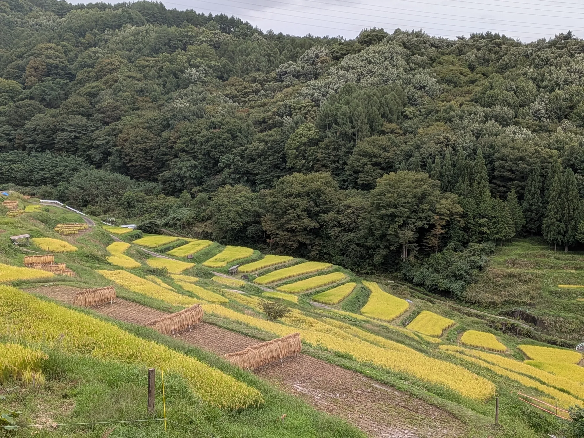 たむら鍼灸整骨院のイメージ