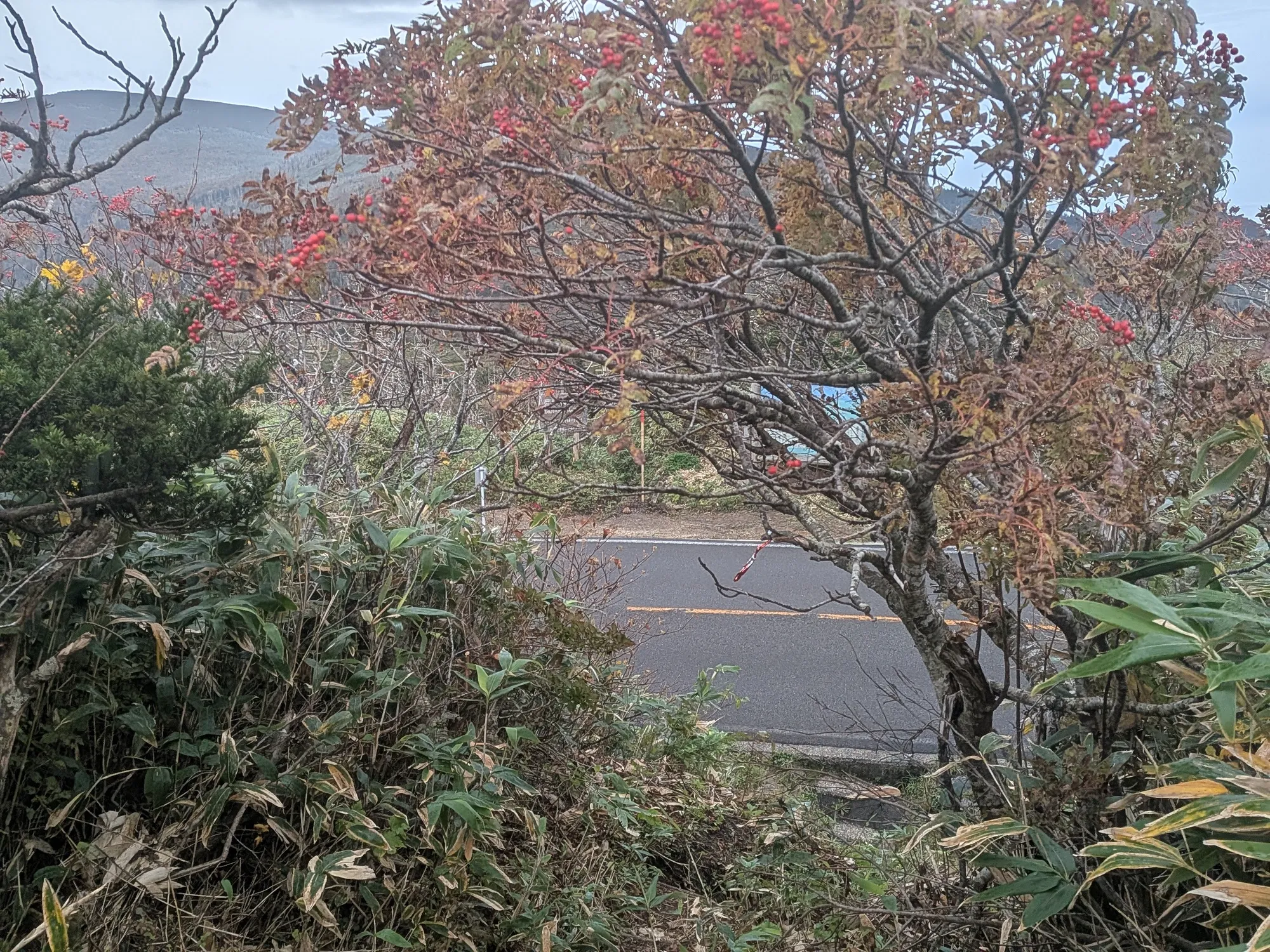 たむら鍼灸整骨院のイメージ
