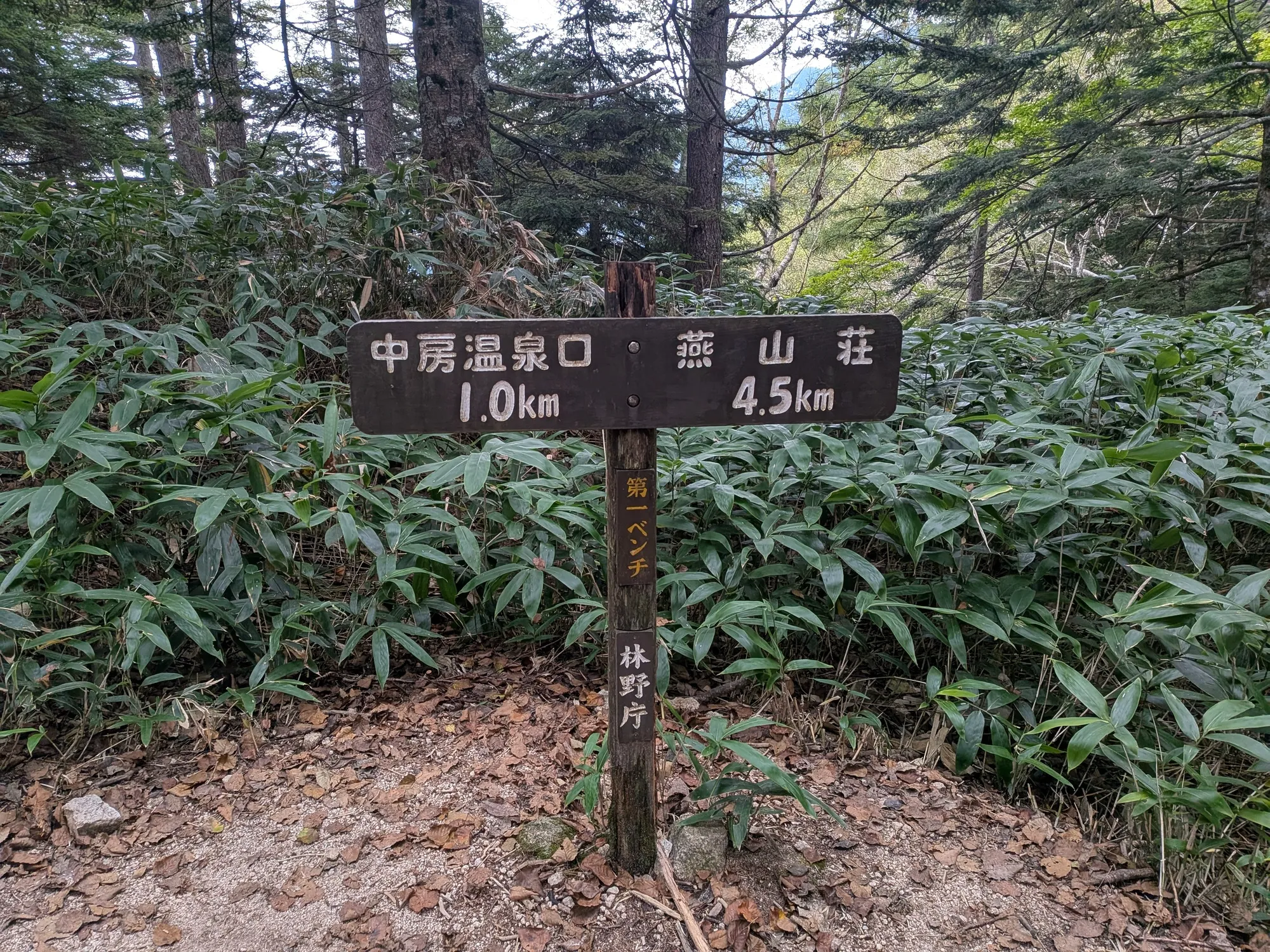たむら鍼灸整骨院のイメージ
