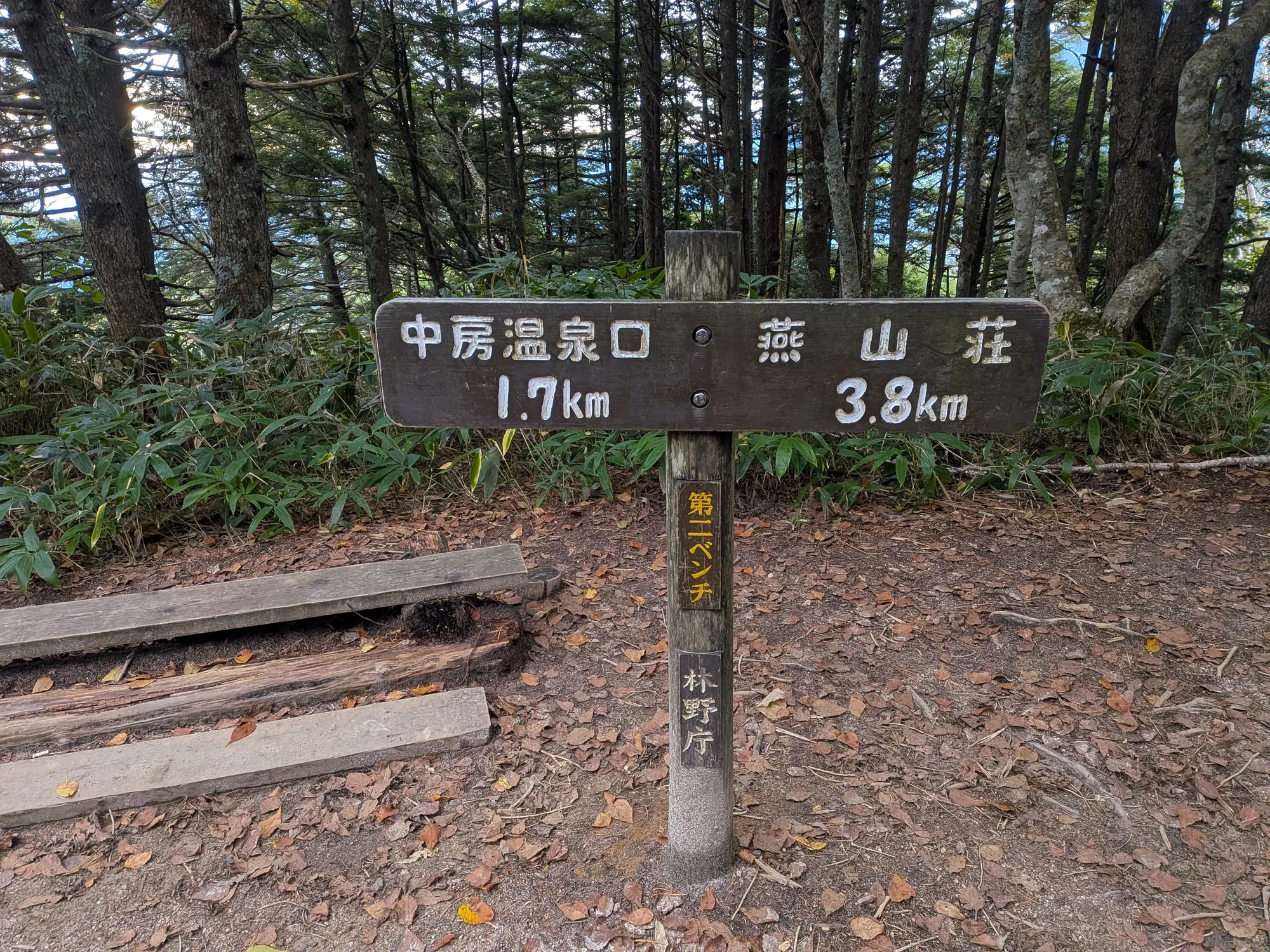 たむら鍼灸整骨院のイメージ
