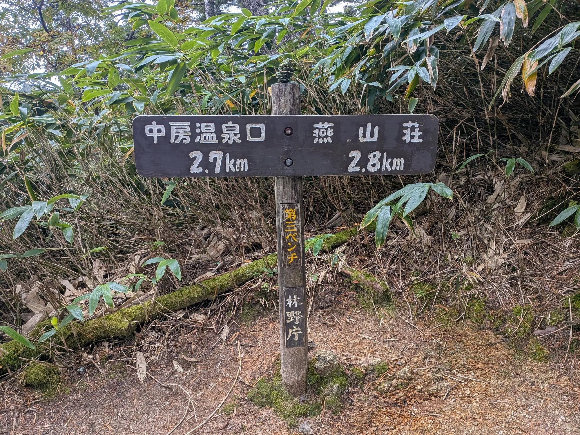 たむら鍼灸整骨院のイメージ