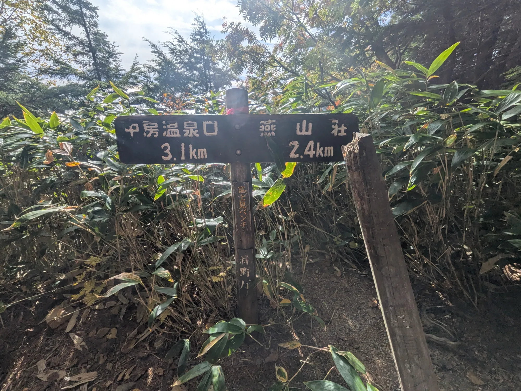 たむら鍼灸整骨院のイメージ