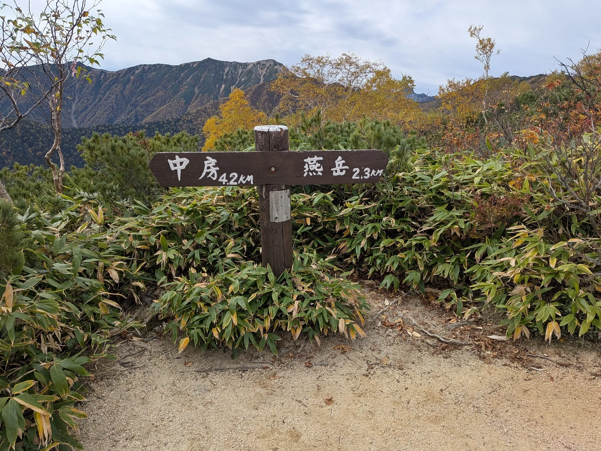 たむら鍼灸整骨院のイメージ