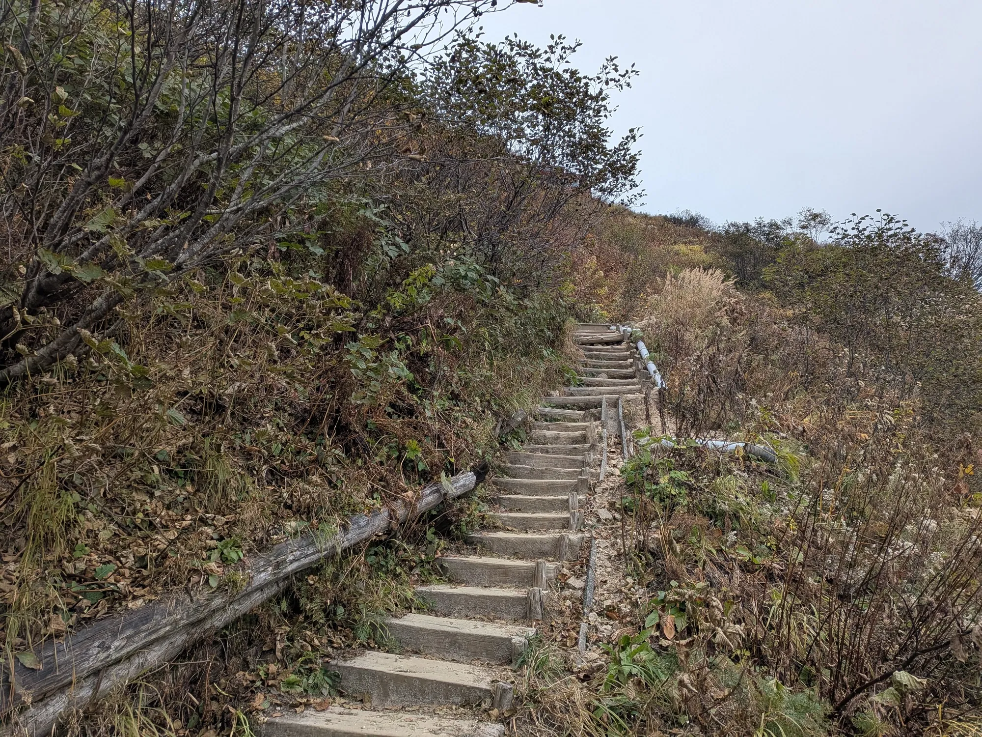 たむら鍼灸整骨院のイメージ