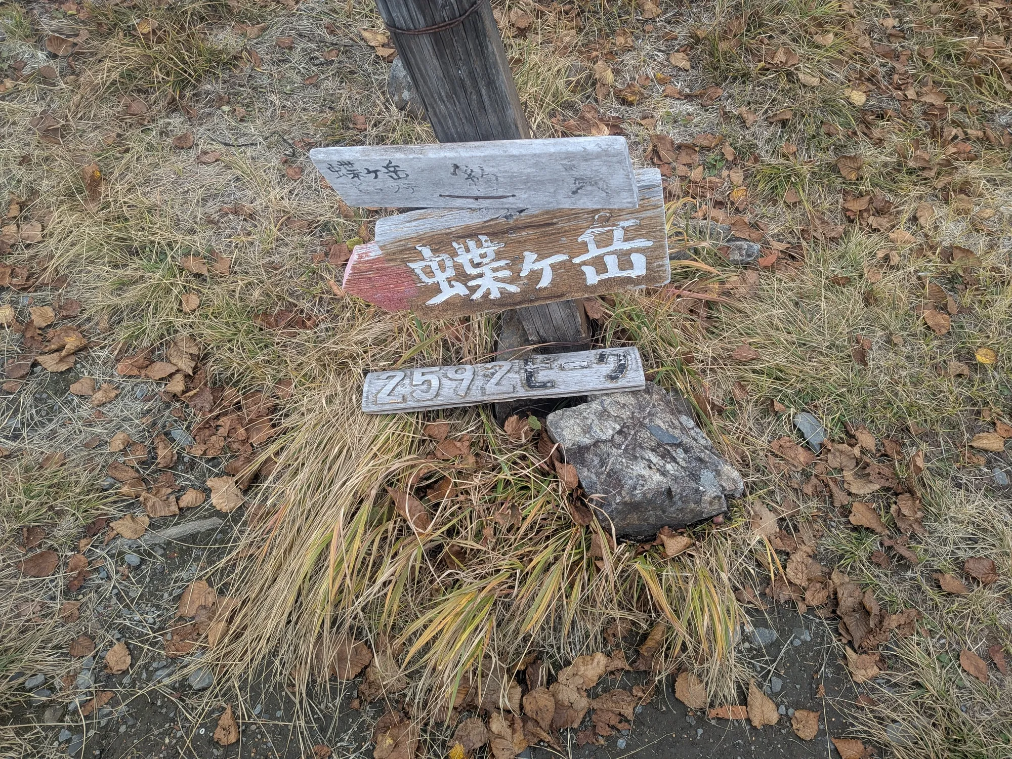 たむら鍼灸整骨院のイメージ