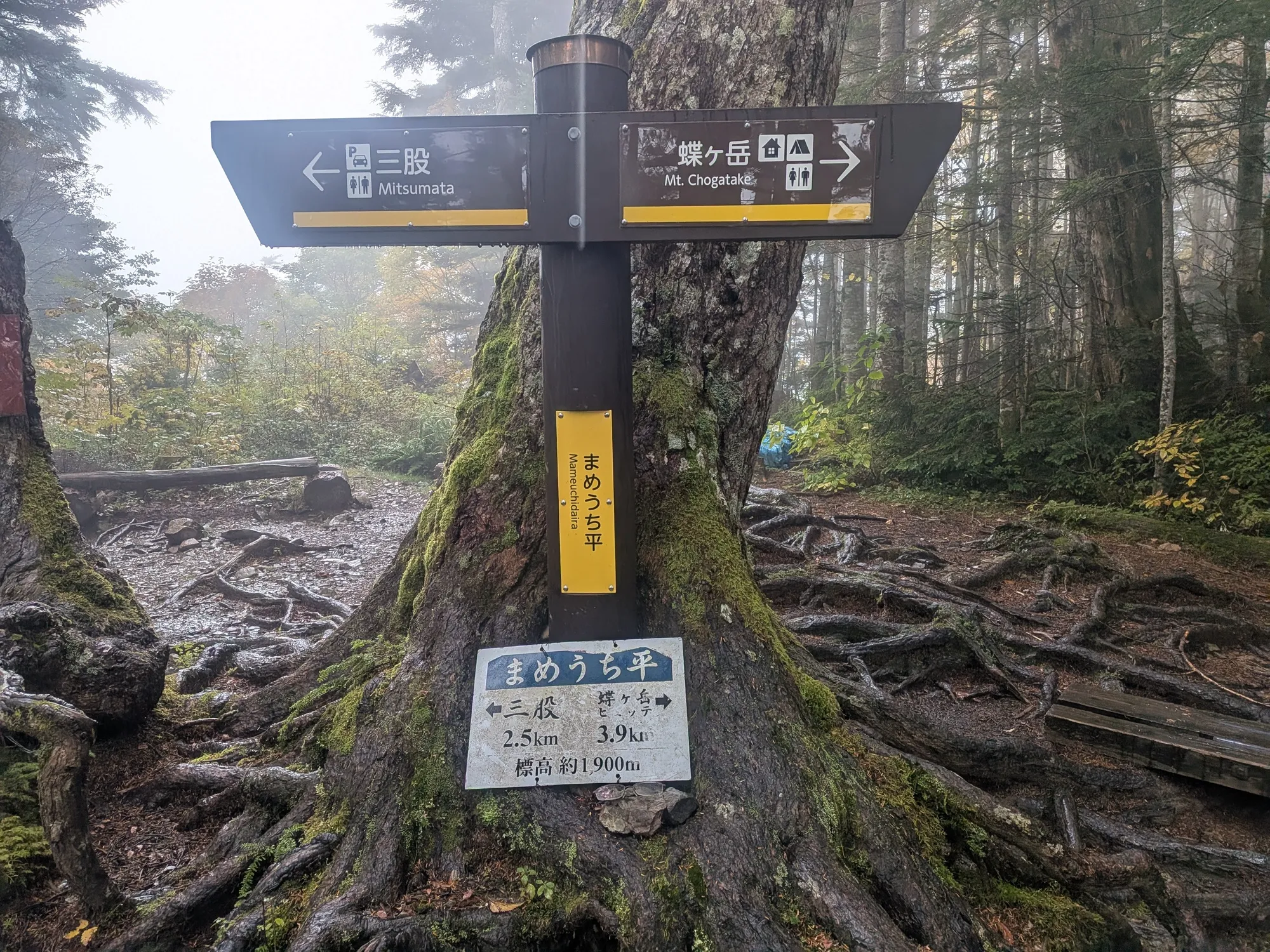 たむら鍼灸整骨院のイメージ