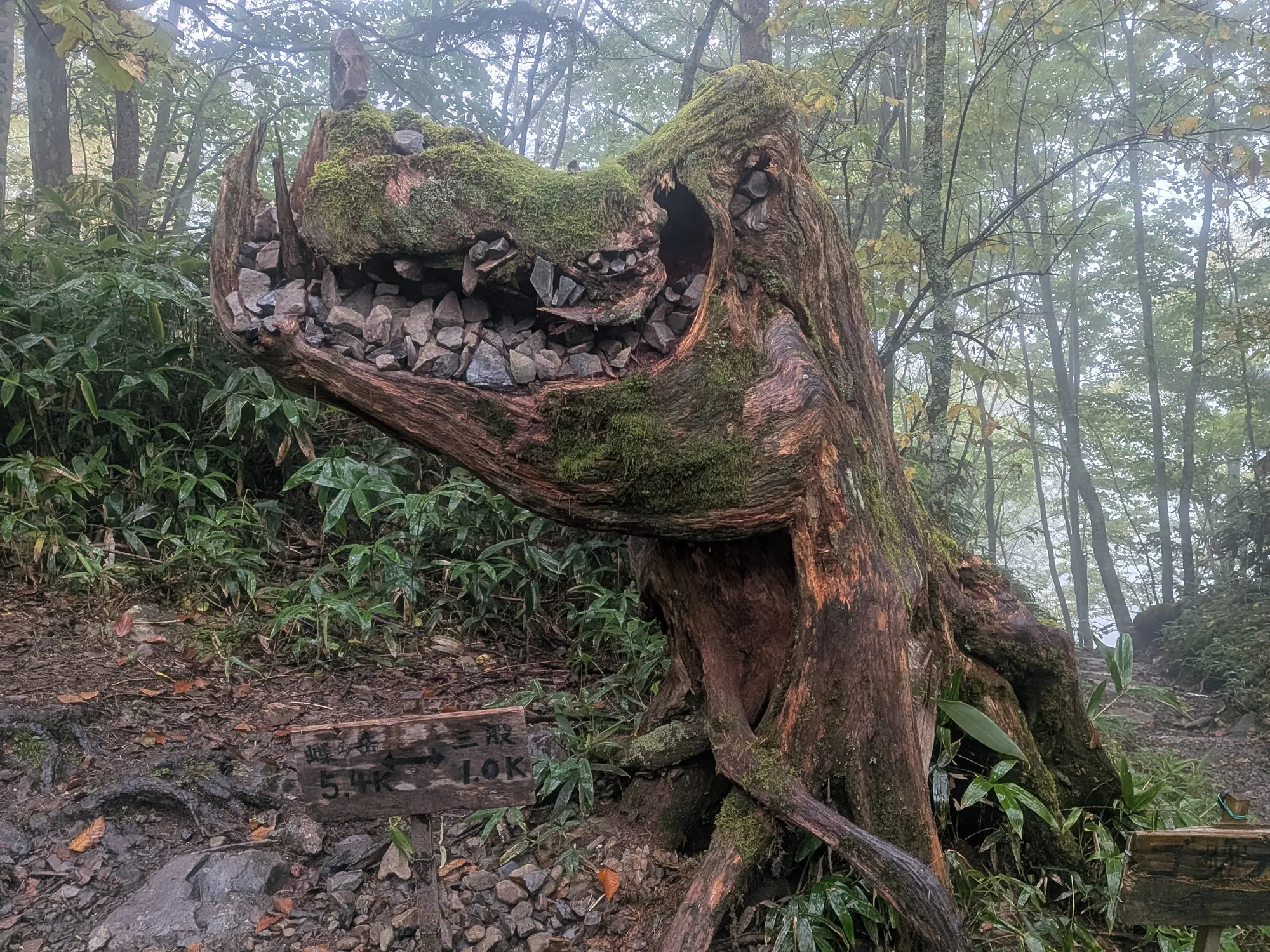 ゴジラみたいな木