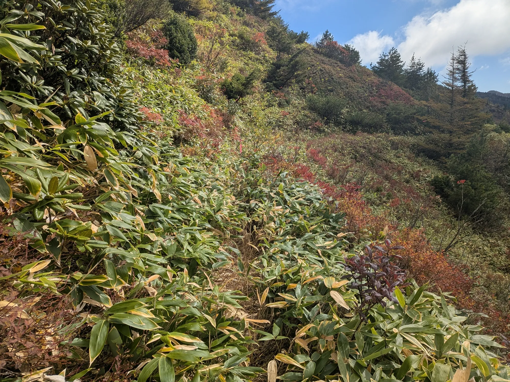 たむら鍼灸整骨院のイメージ