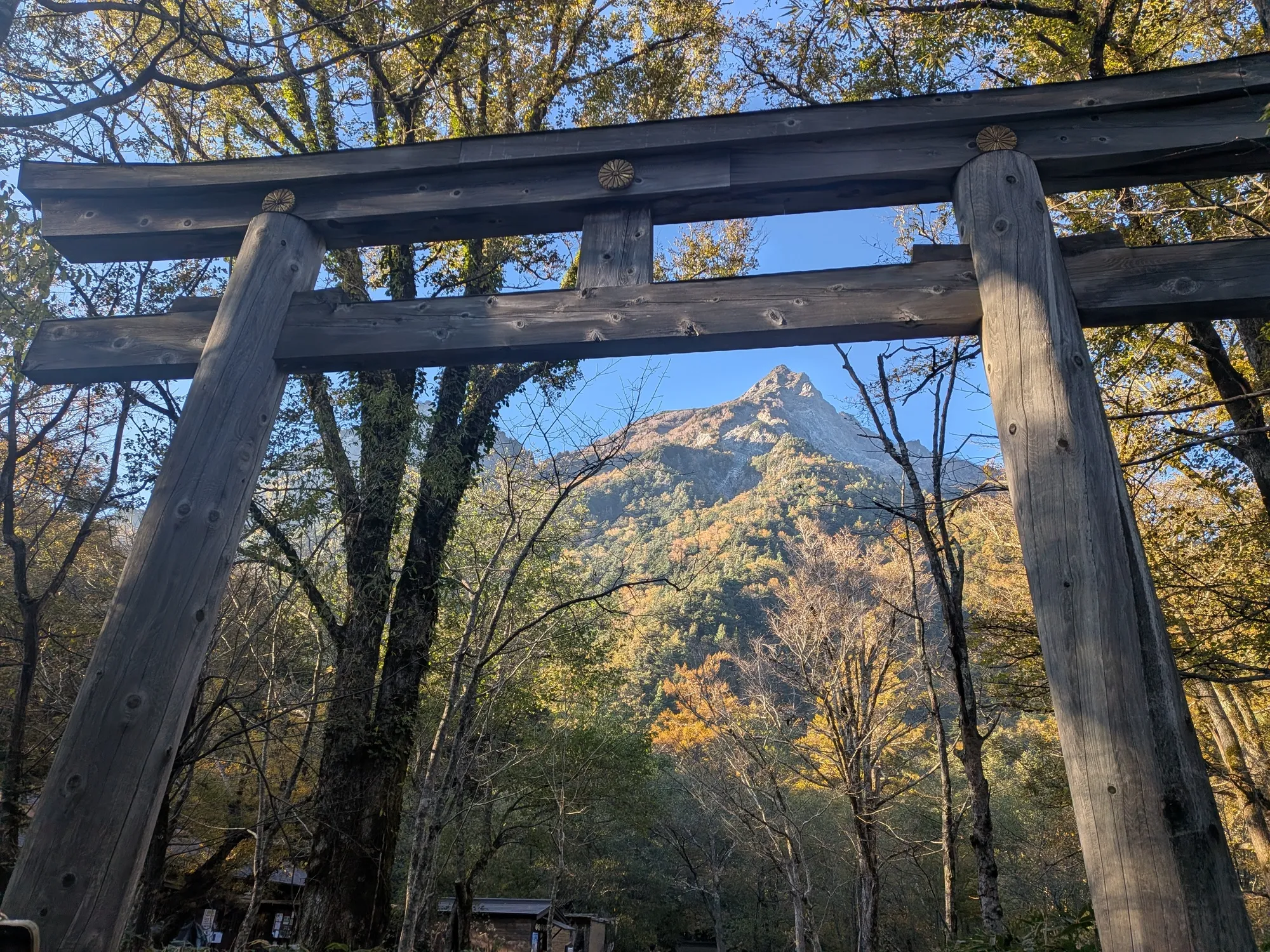 たむら鍼灸整骨院のイメージ
