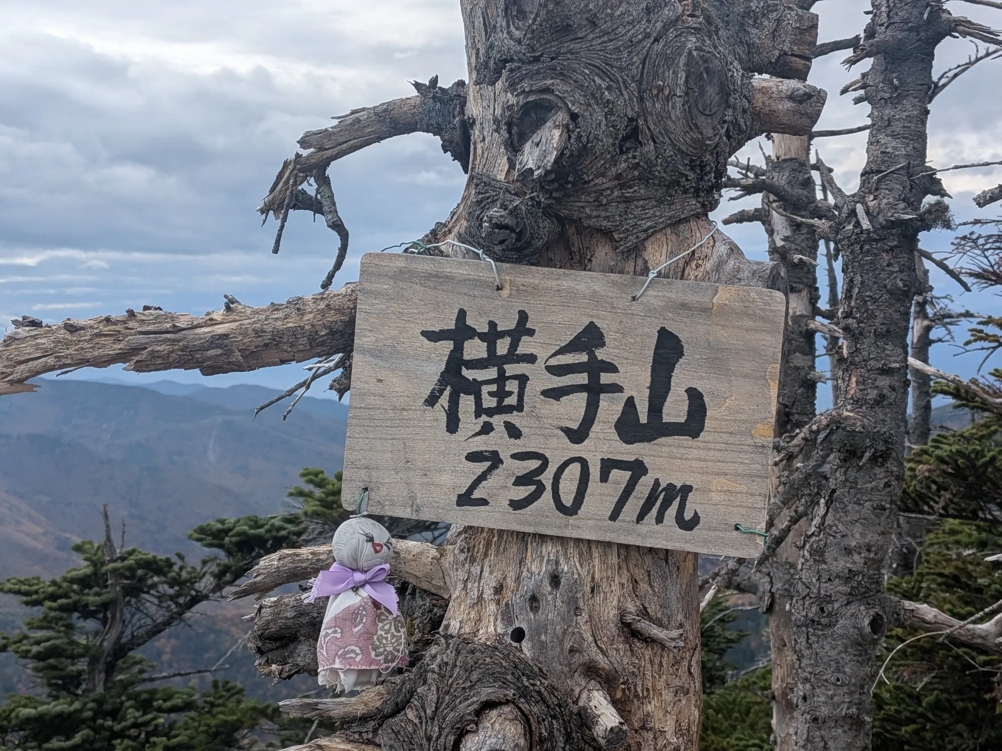たむら鍼灸整骨院のイメージ