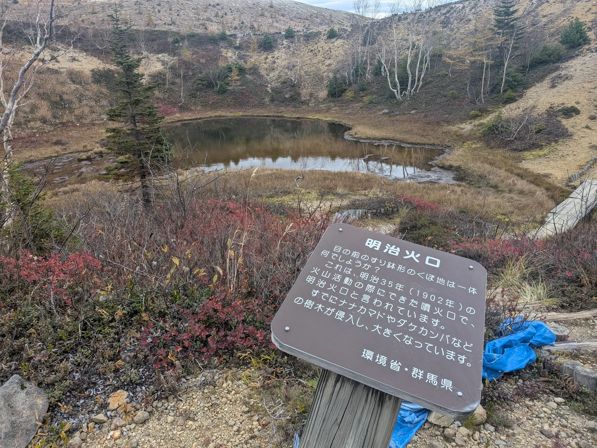 たむら鍼灸整骨院のイメージ