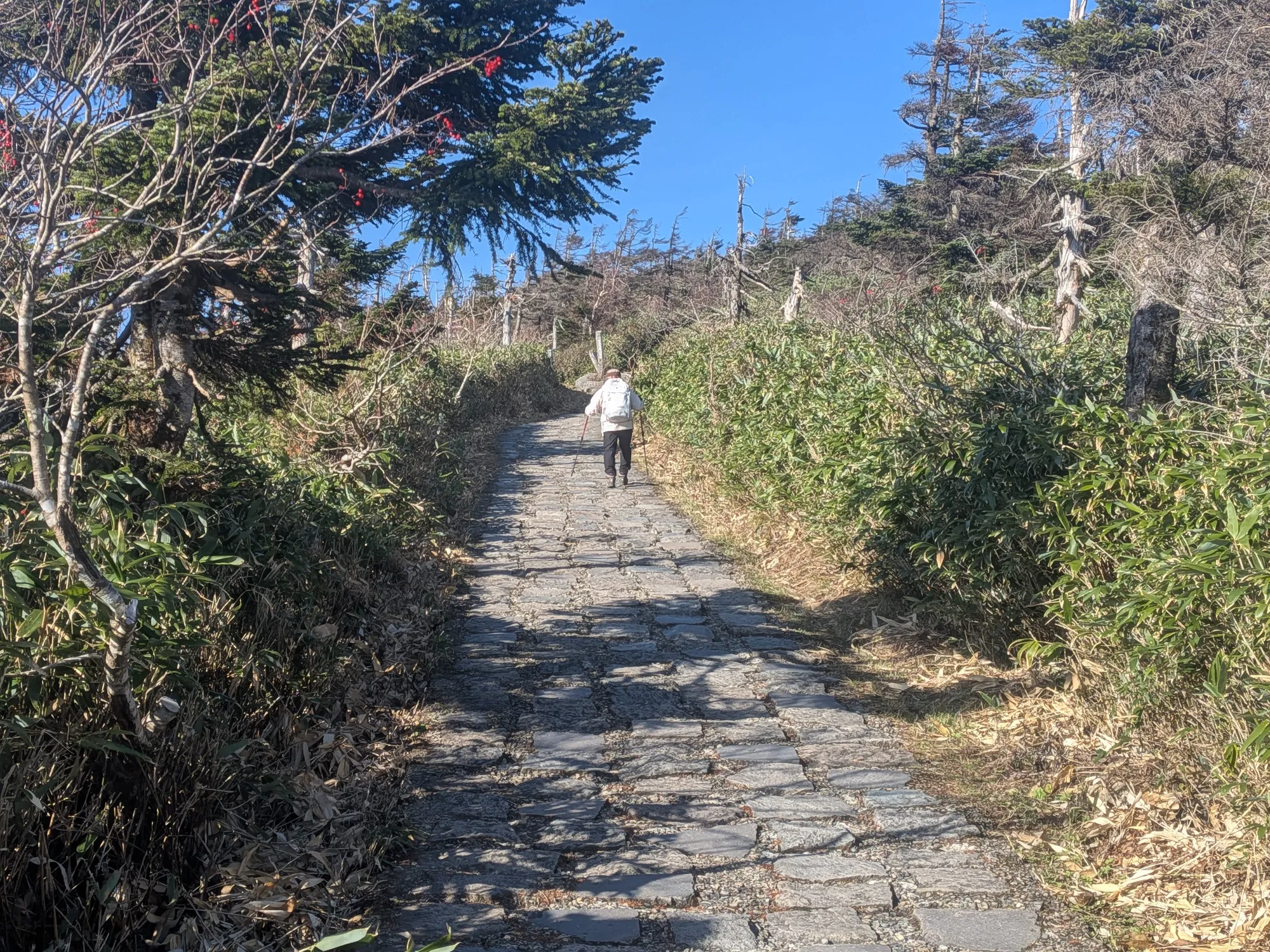 たむら鍼灸整骨院のイメージ