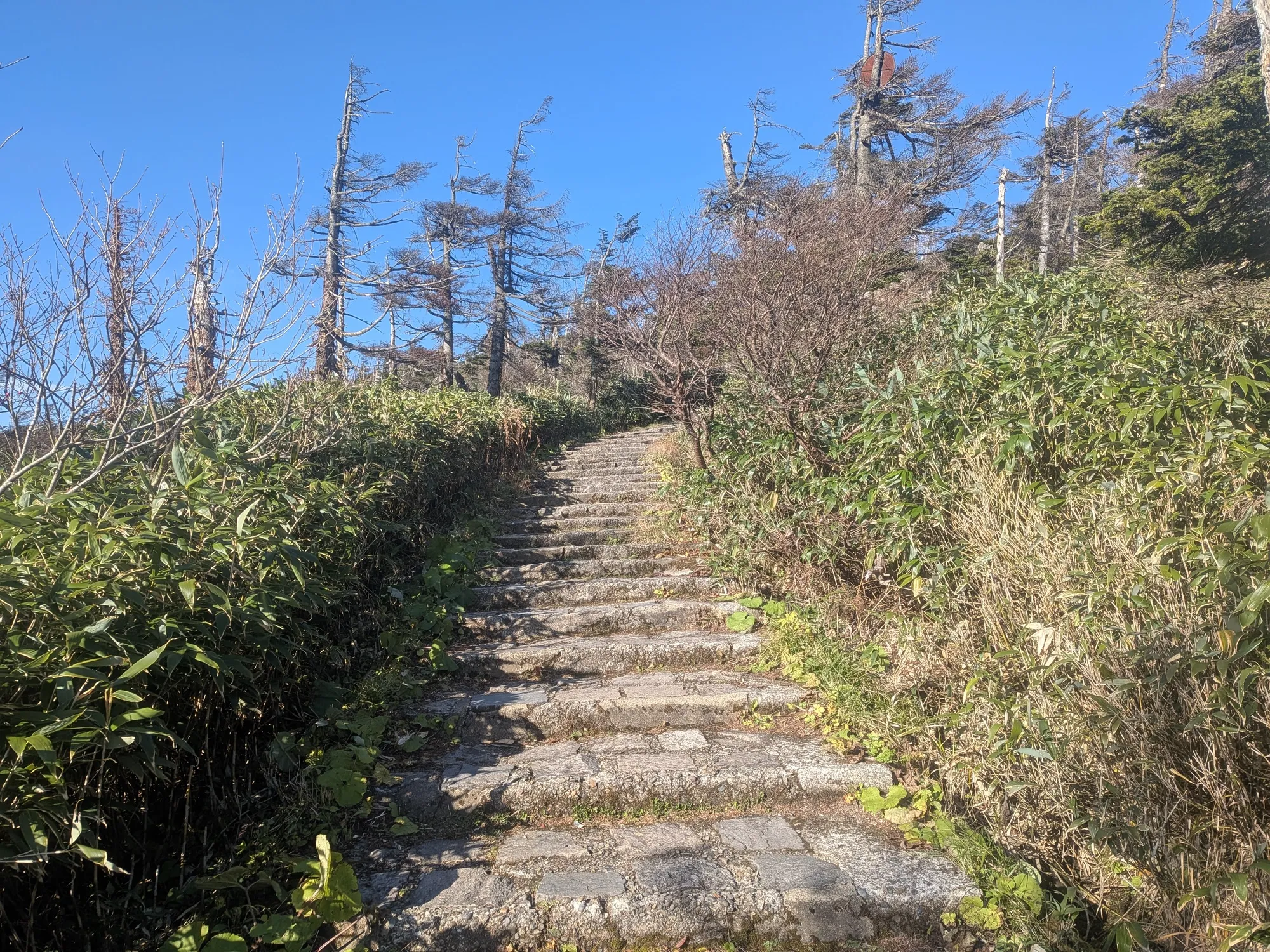 たむら鍼灸整骨院のイメージ