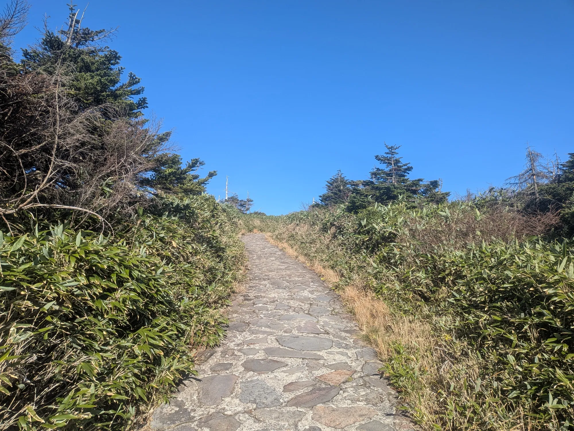 たむら鍼灸整骨院のイメージ