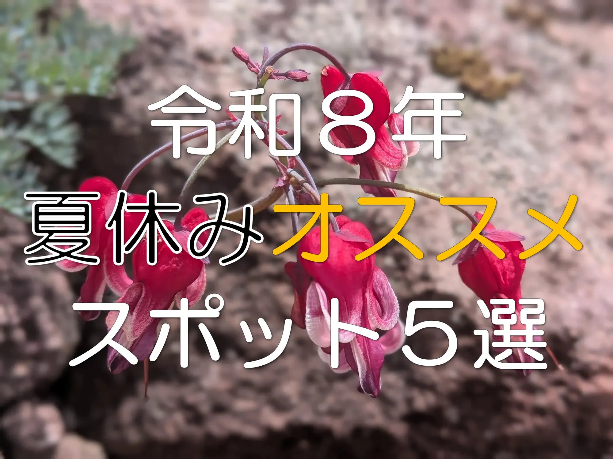 令和８年夏休みオススメ