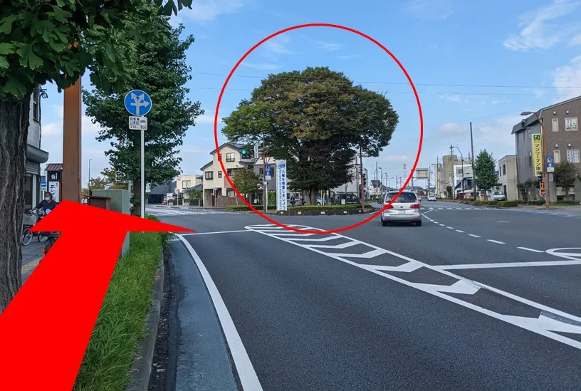 交差点に大きな木を目印に直進